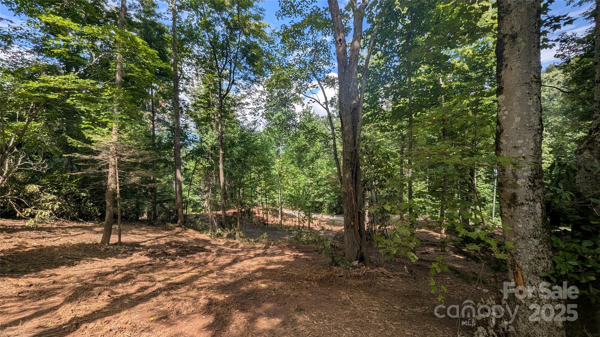 707 Apple Tree Court 32 Property Photo 1