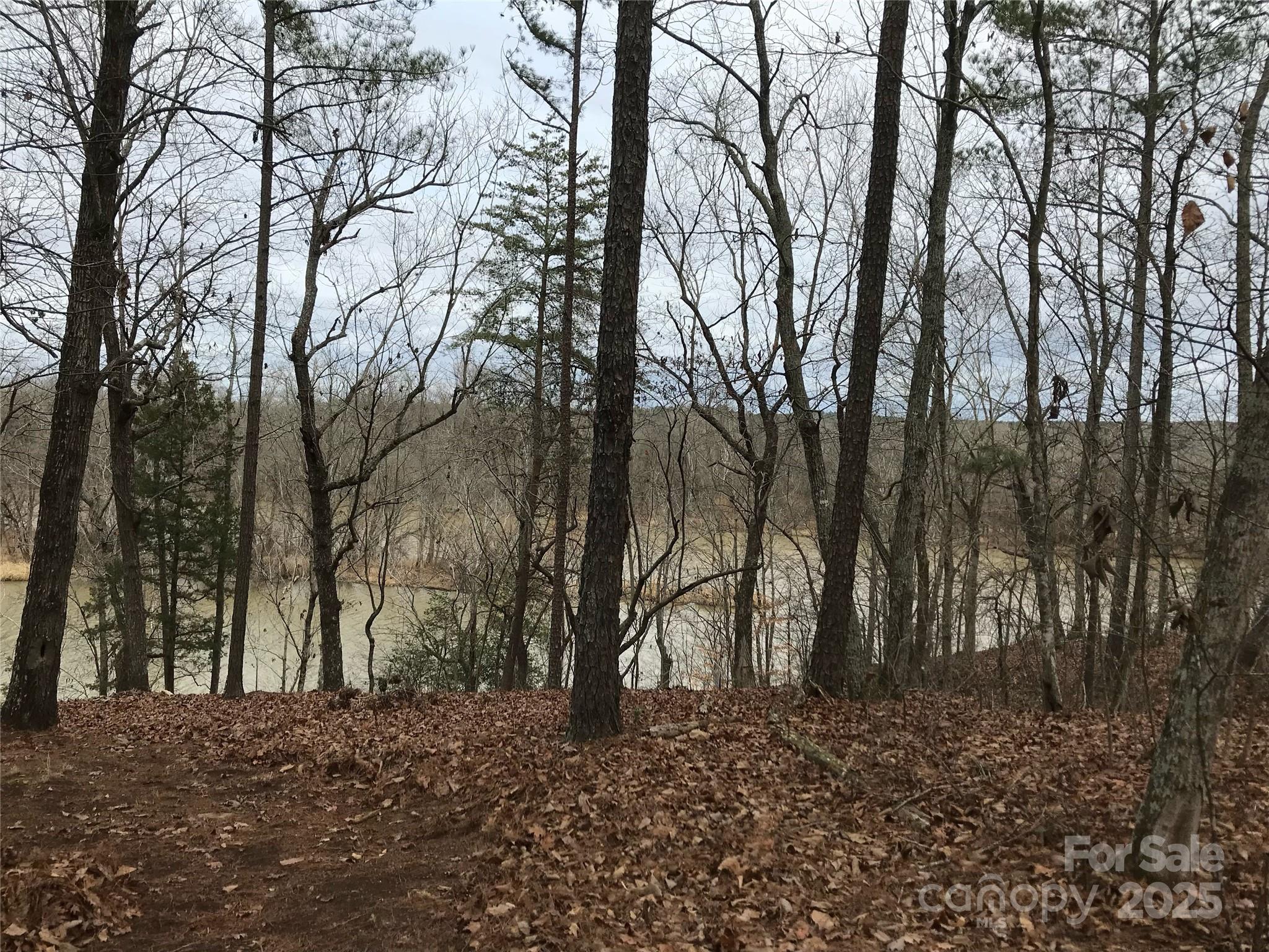 68 Lakeside Trail 68 Property Photo 3