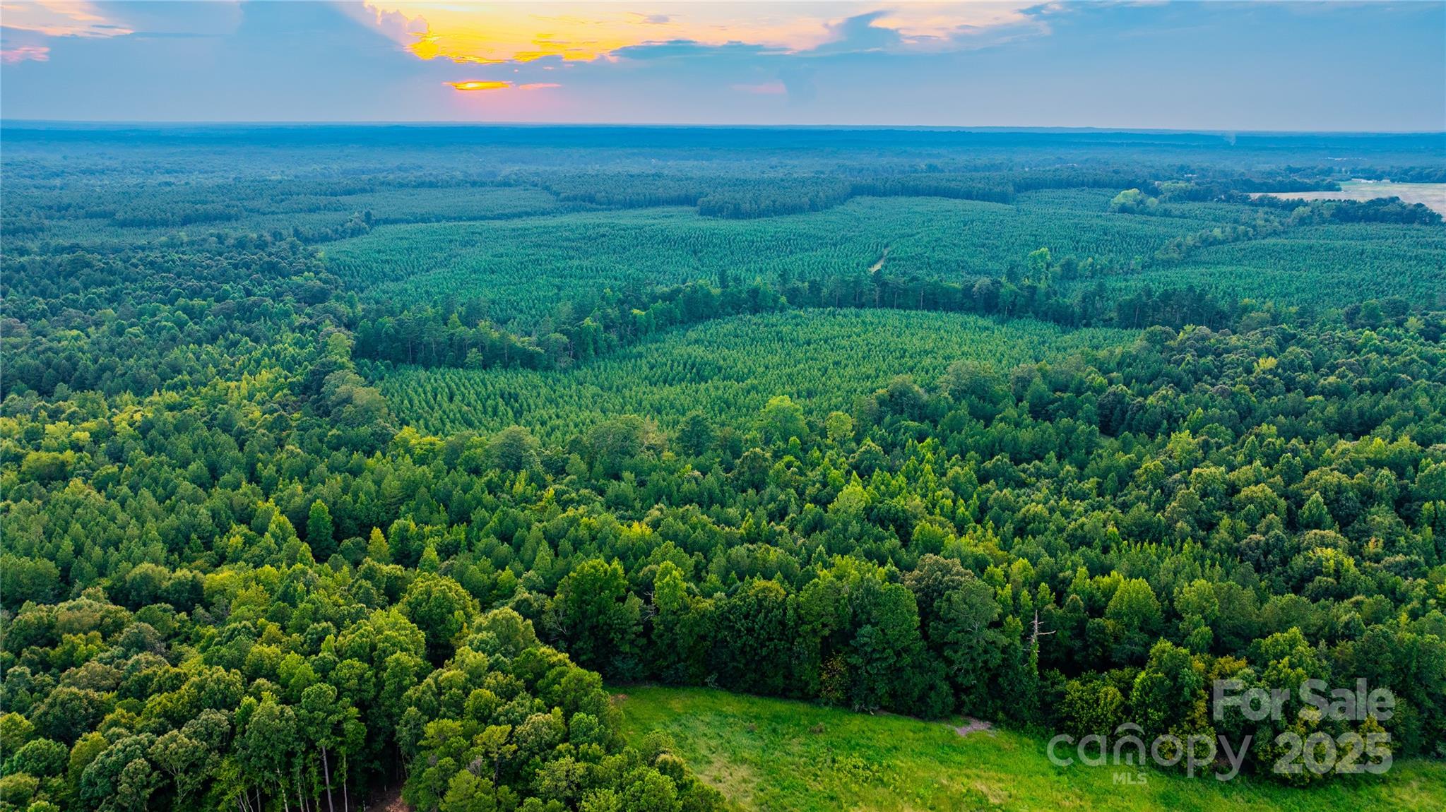 000 Daystar Road 11b Property Photo 2