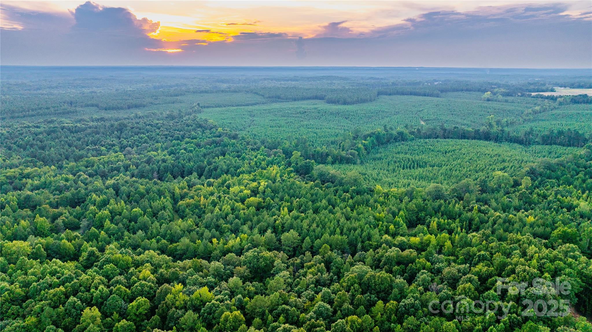 000 Daystar Road 11b Property Photo 9