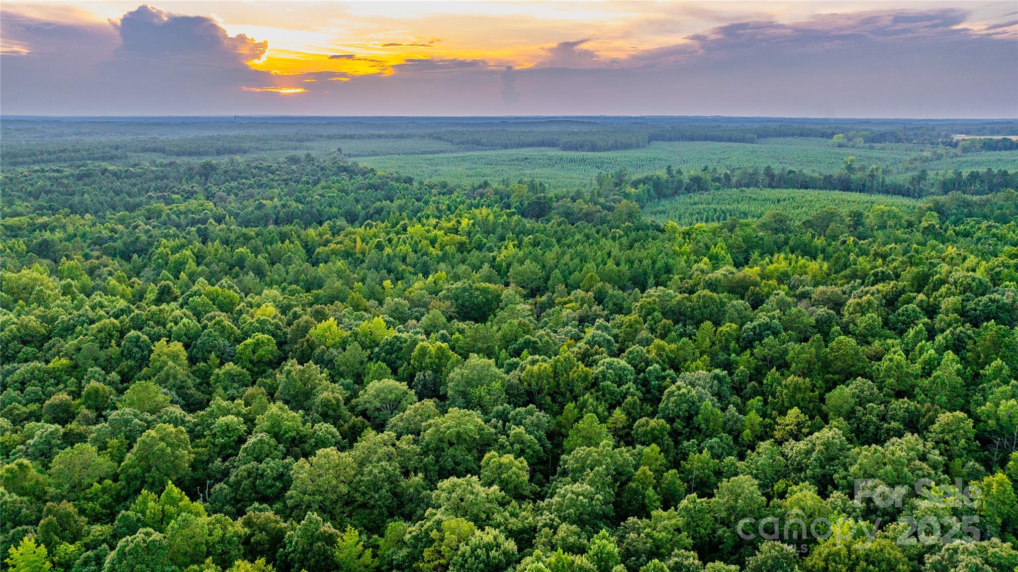 000 Daystar Road 11b Property Photo 10