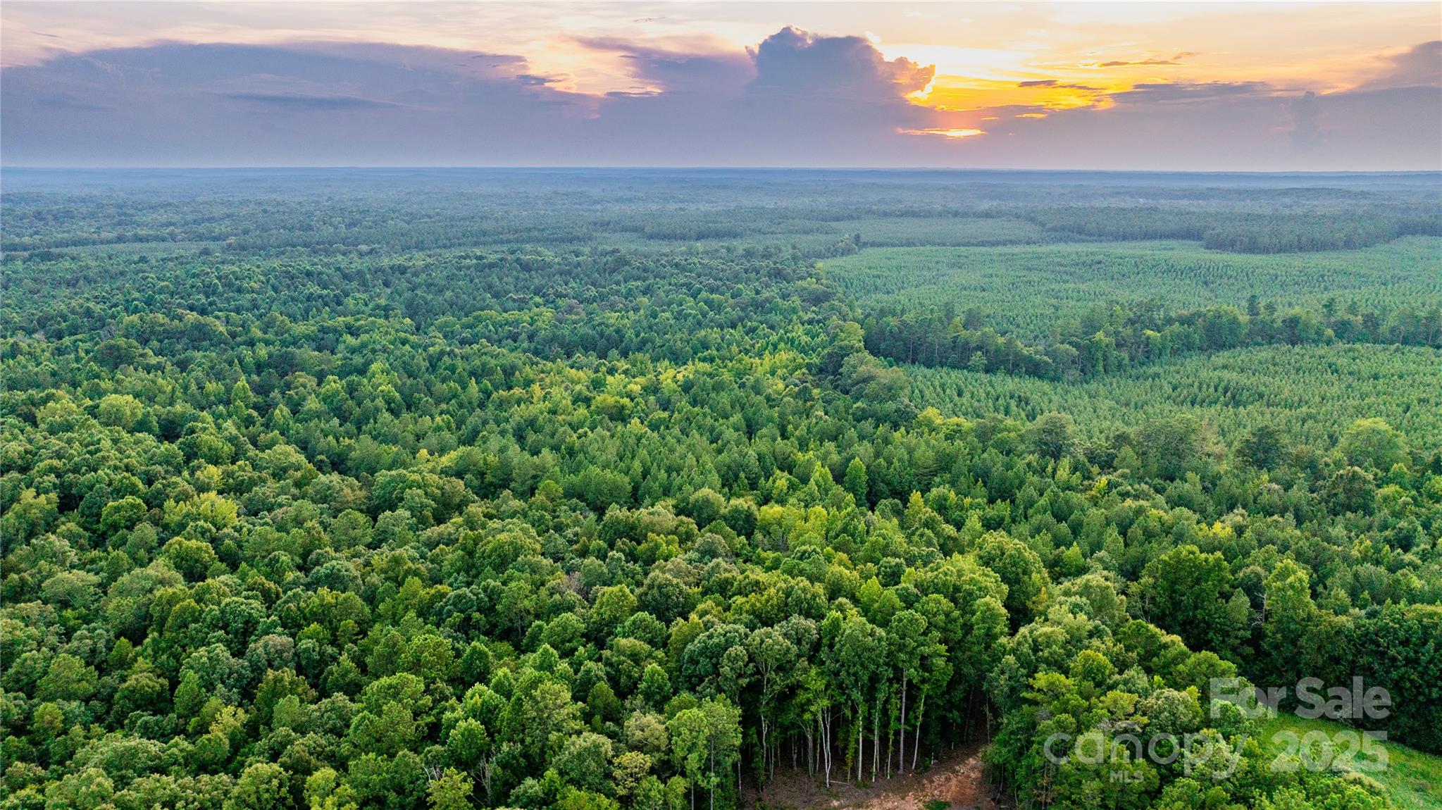 000 Daystar Road 11b Property Photo 12