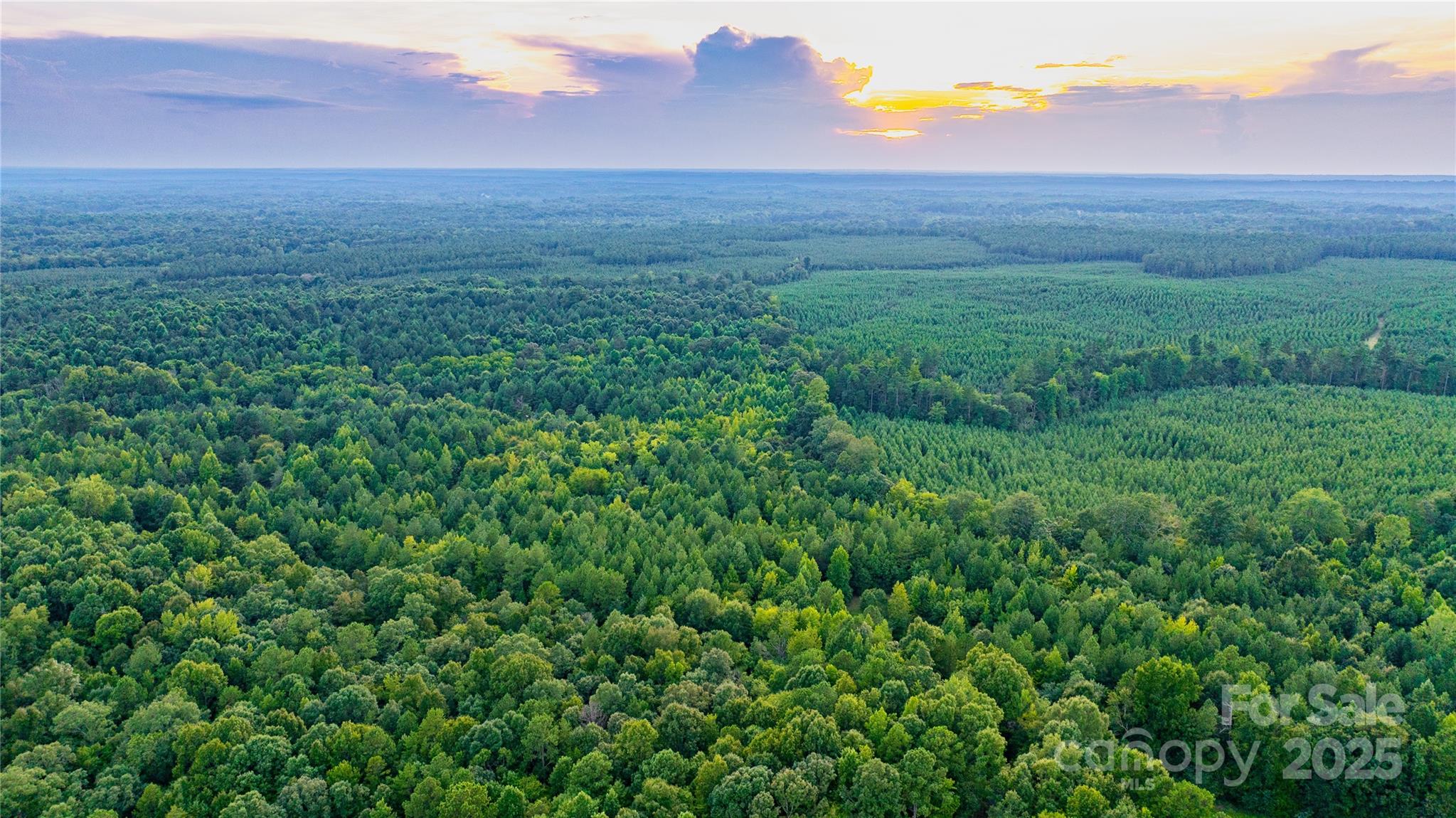 000 Daystar Road 11b Property Photo 13