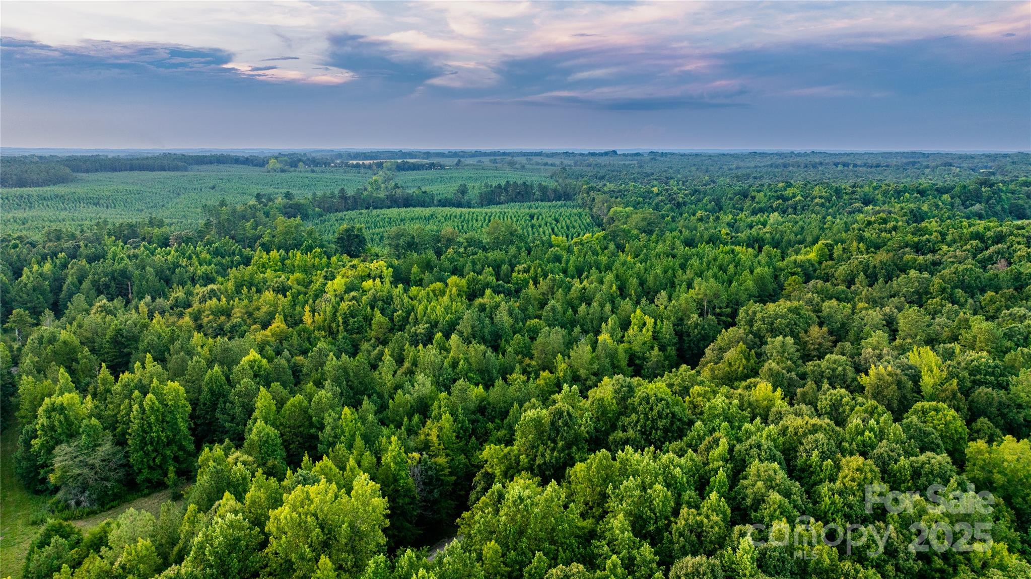 000 Daystar Road 11b Property Photo 14