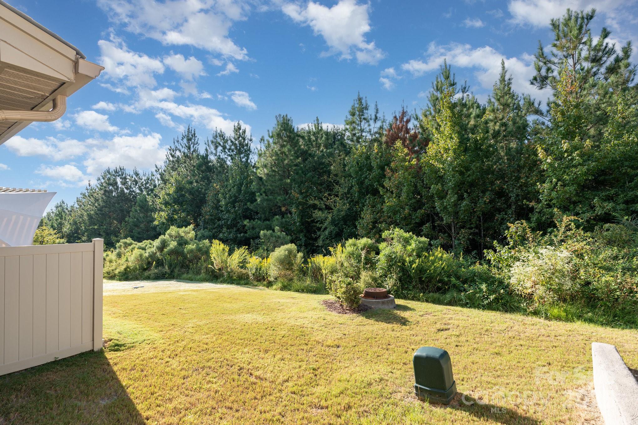 3413 Scottish Fern Lane 160 Property Photo 19