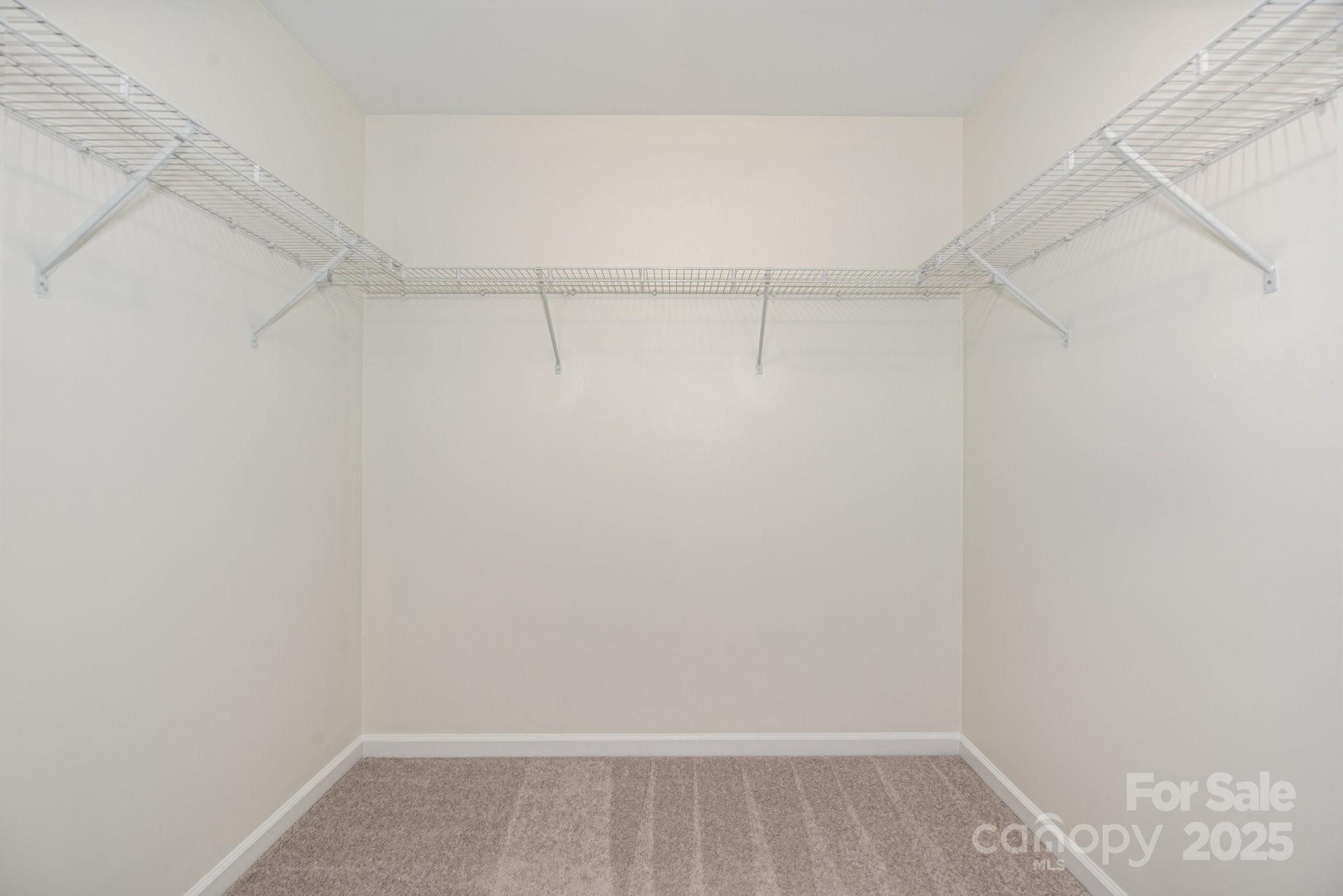 3413 Scottish Fern Lane 160 Property Photo 25