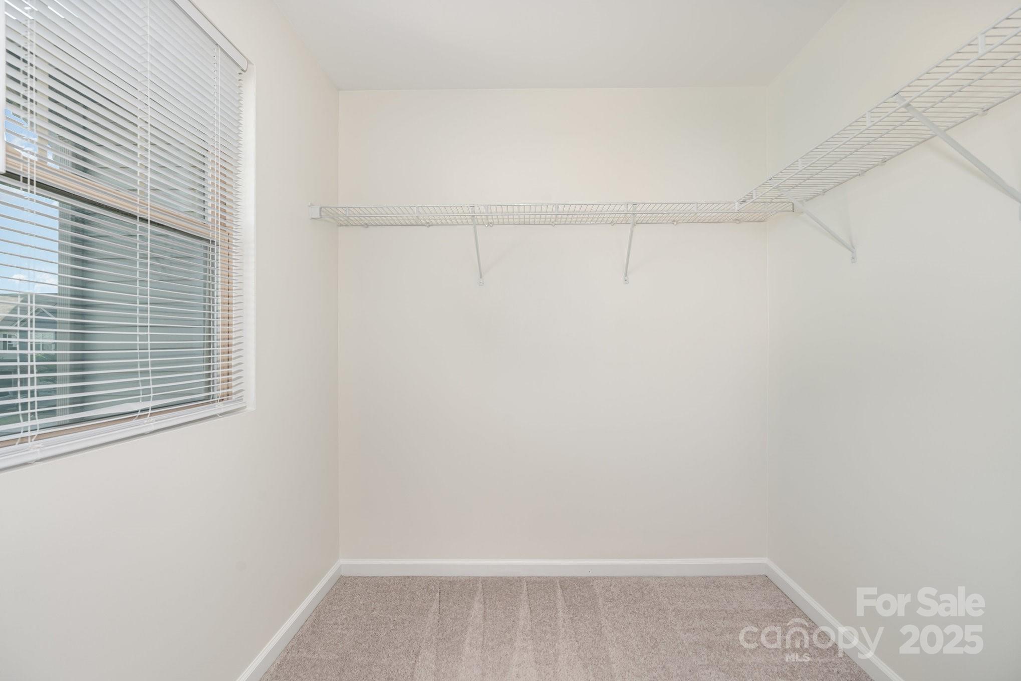 3413 Scottish Fern Lane 160 Property Photo 33