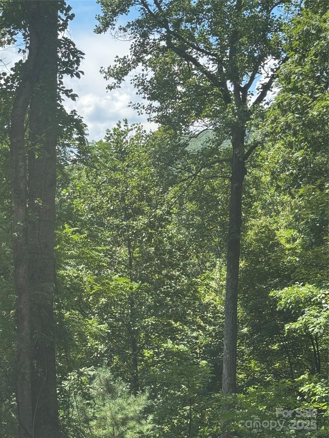 23 Red Oak Drive Property Photo 2