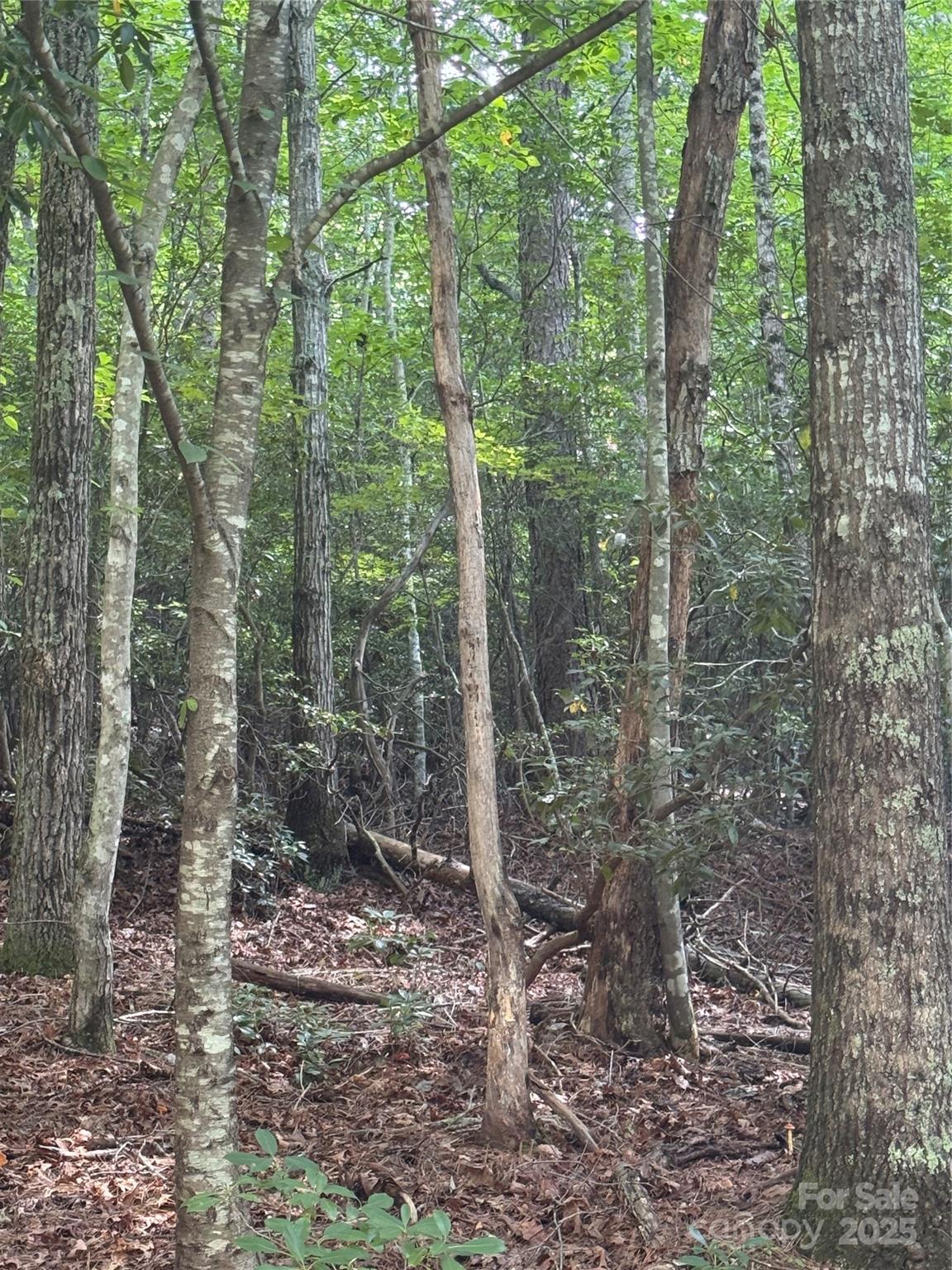 23 Red Oak Drive Property Photo 3