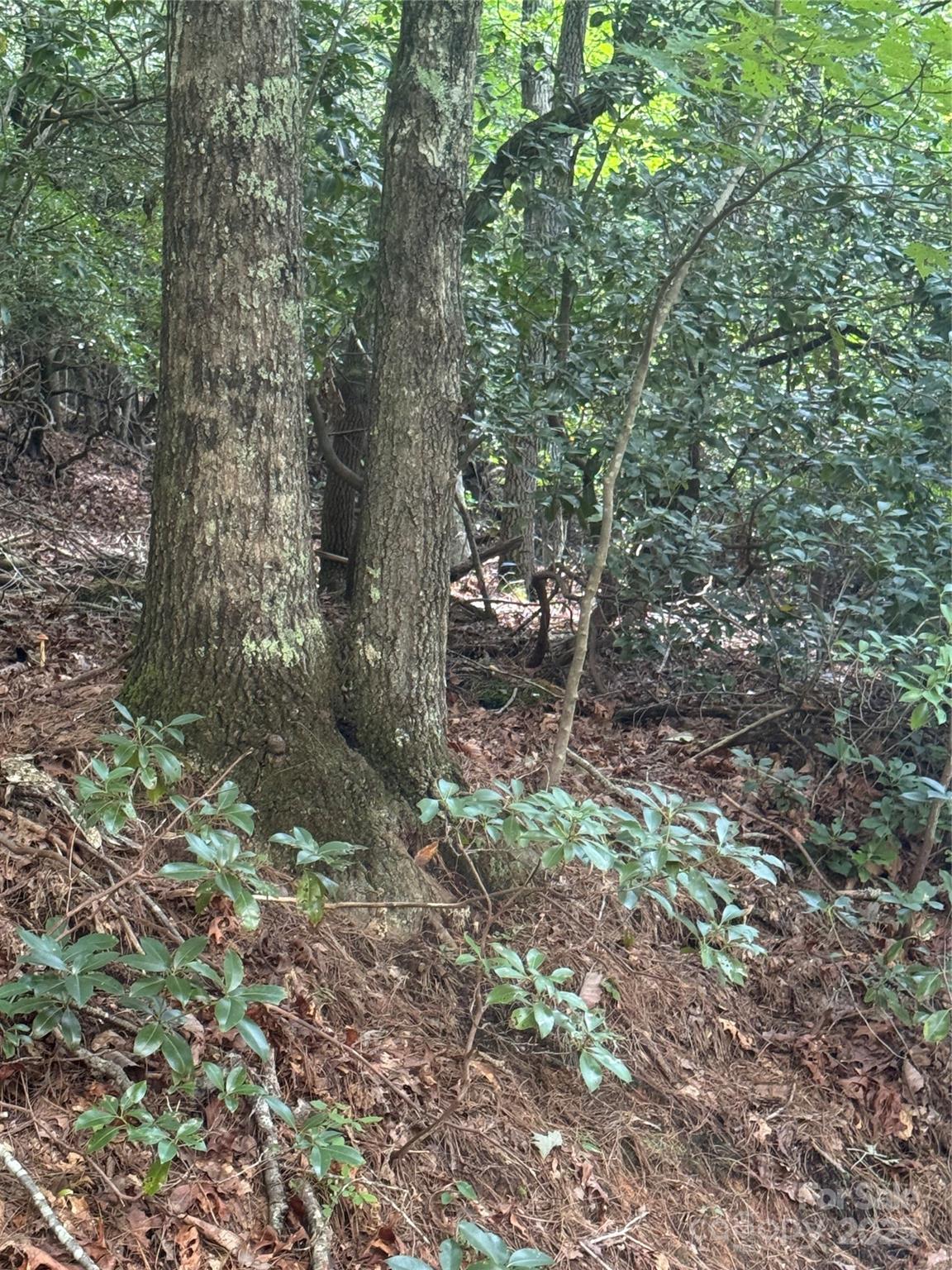 23 Red Oak Drive Property Photo 4