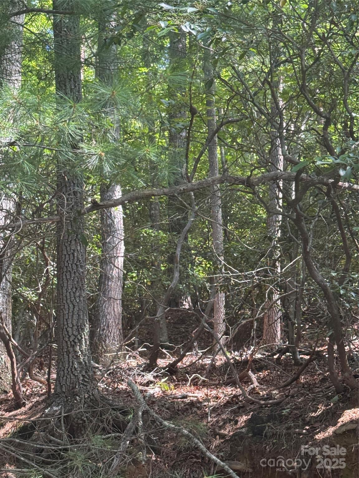 23 Red Oak Drive Property Photo 5