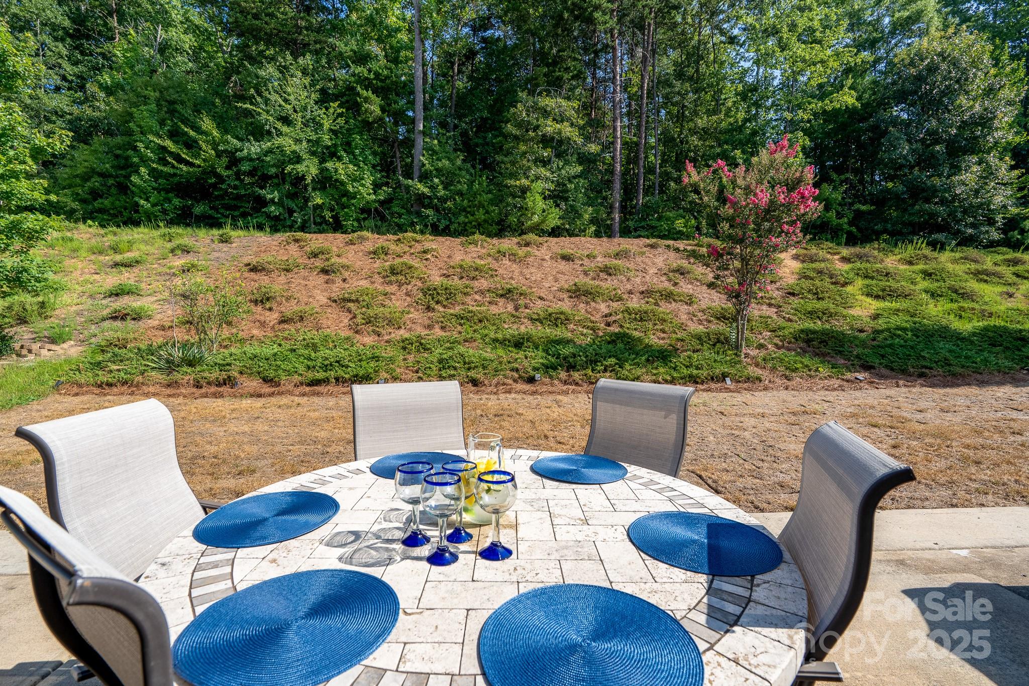 202 Paradise Hills Circle Property Photo 34