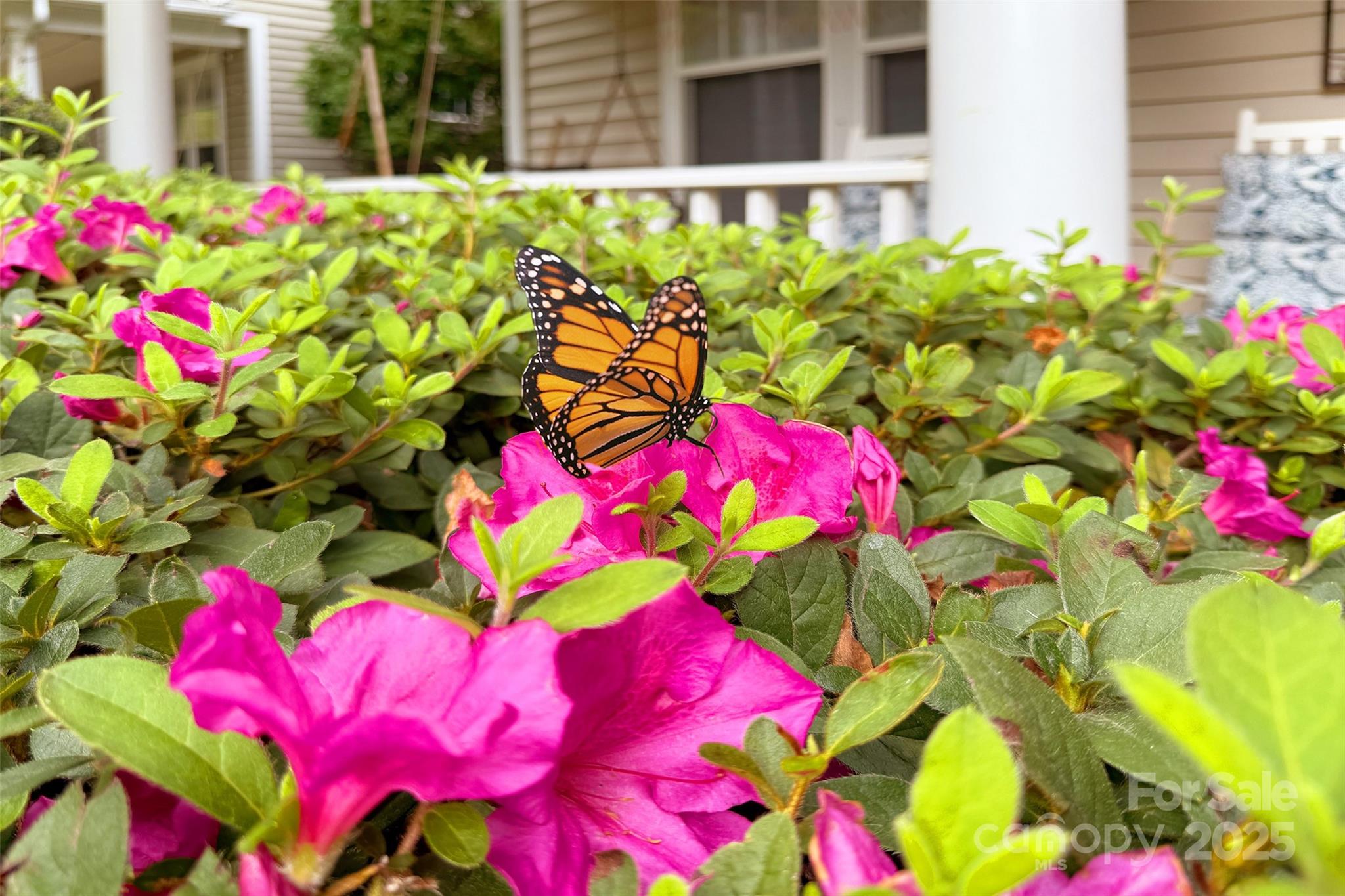 14908 Carbert Lane Property Photo 2