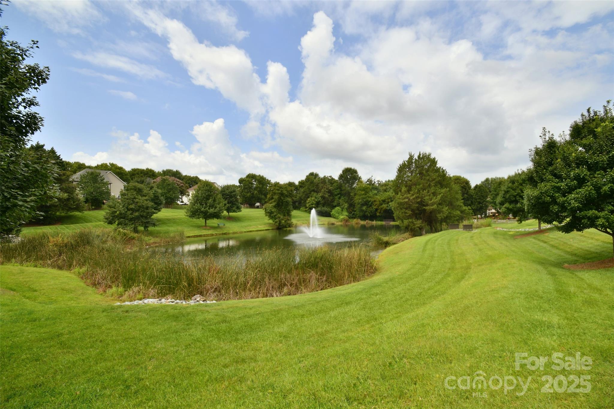 14908 Carbert Lane Property Photo 37