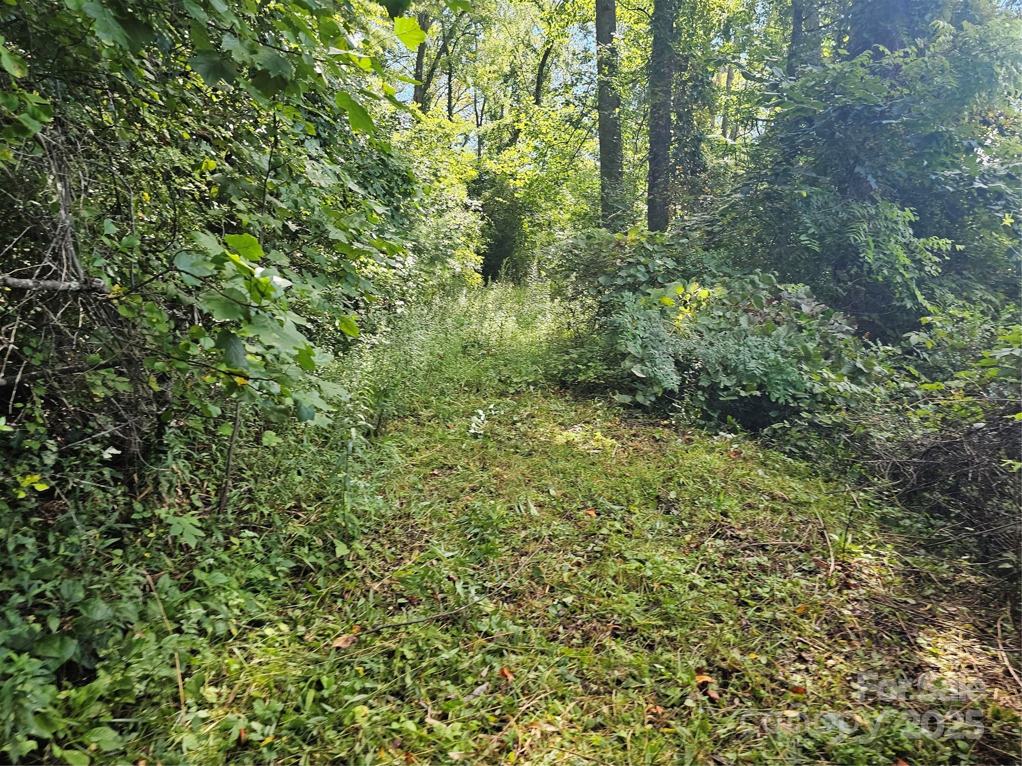 97 Destination Drive Property Photo 4
