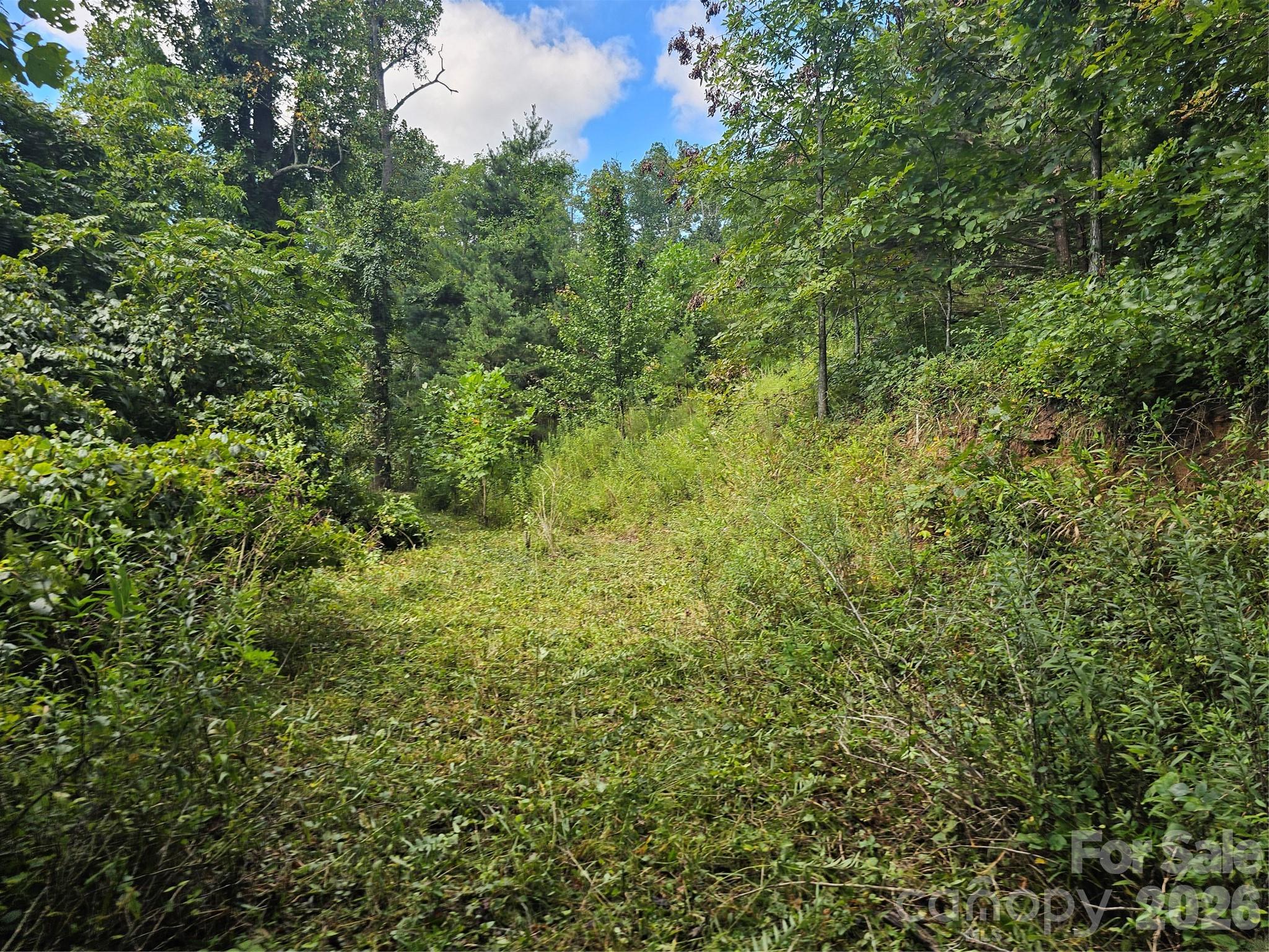 97 Destination Drive Property Photo 7