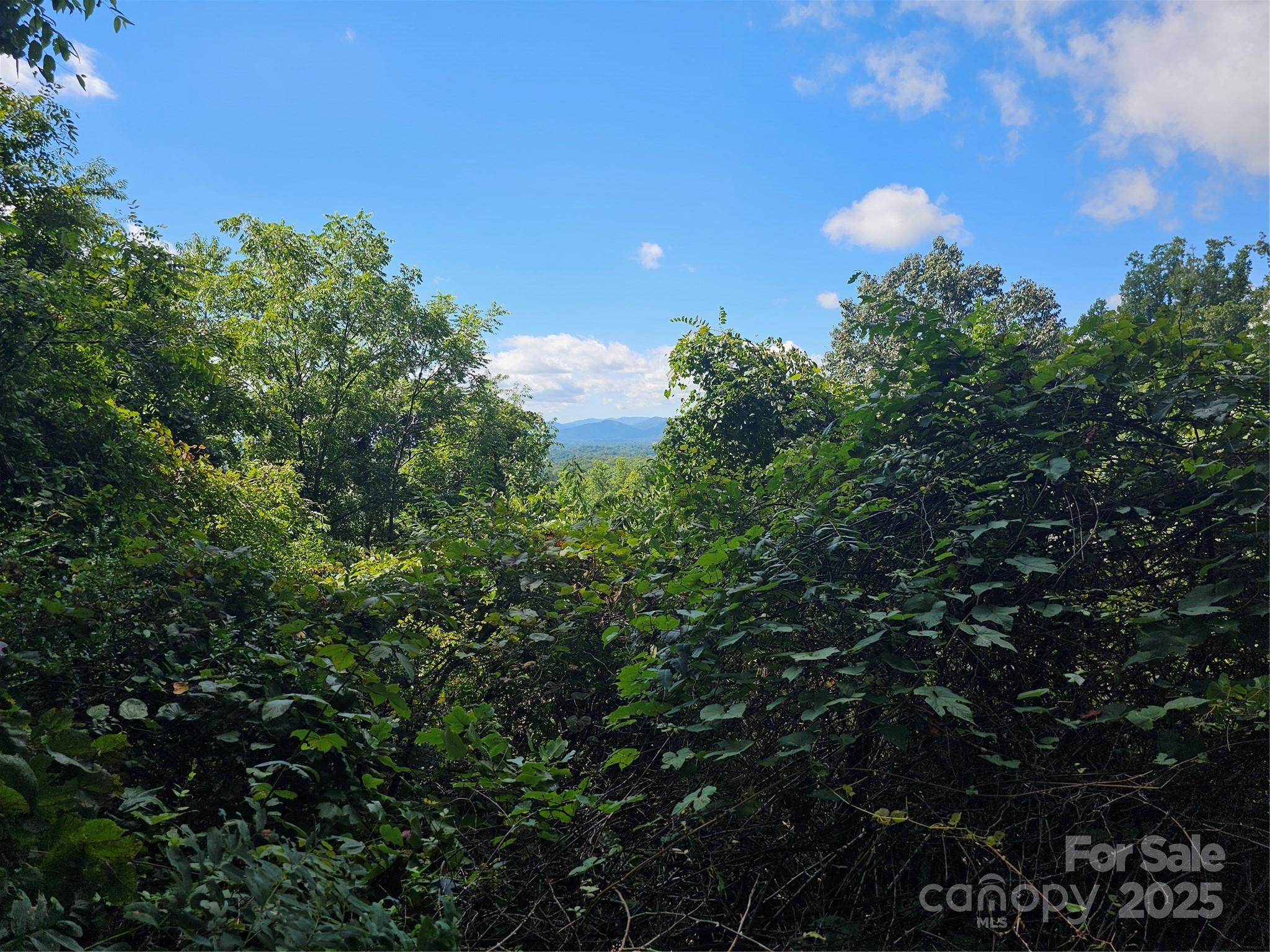 97 Destination Drive Property Photo 9