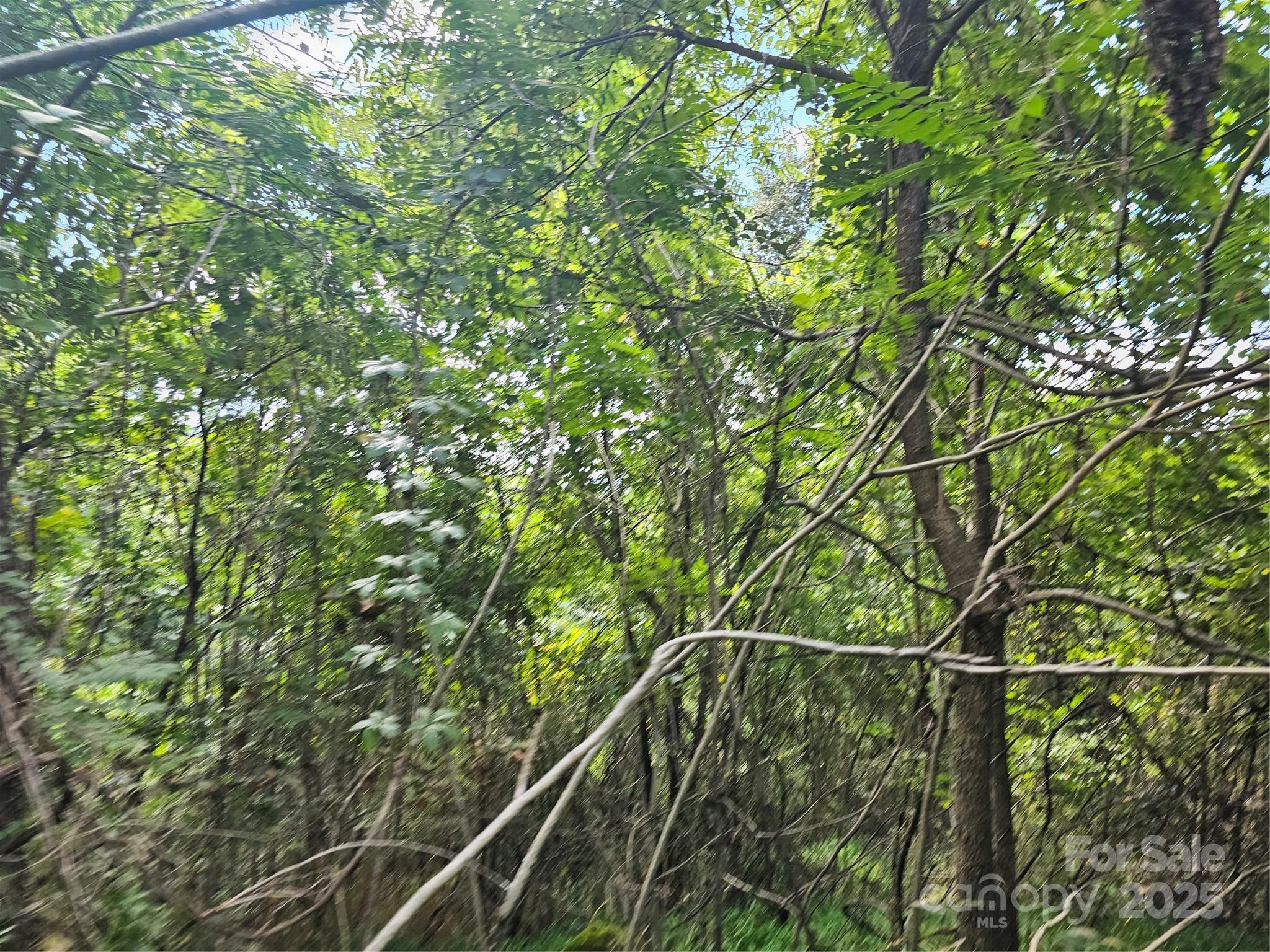 97 Destination Drive Property Photo 11