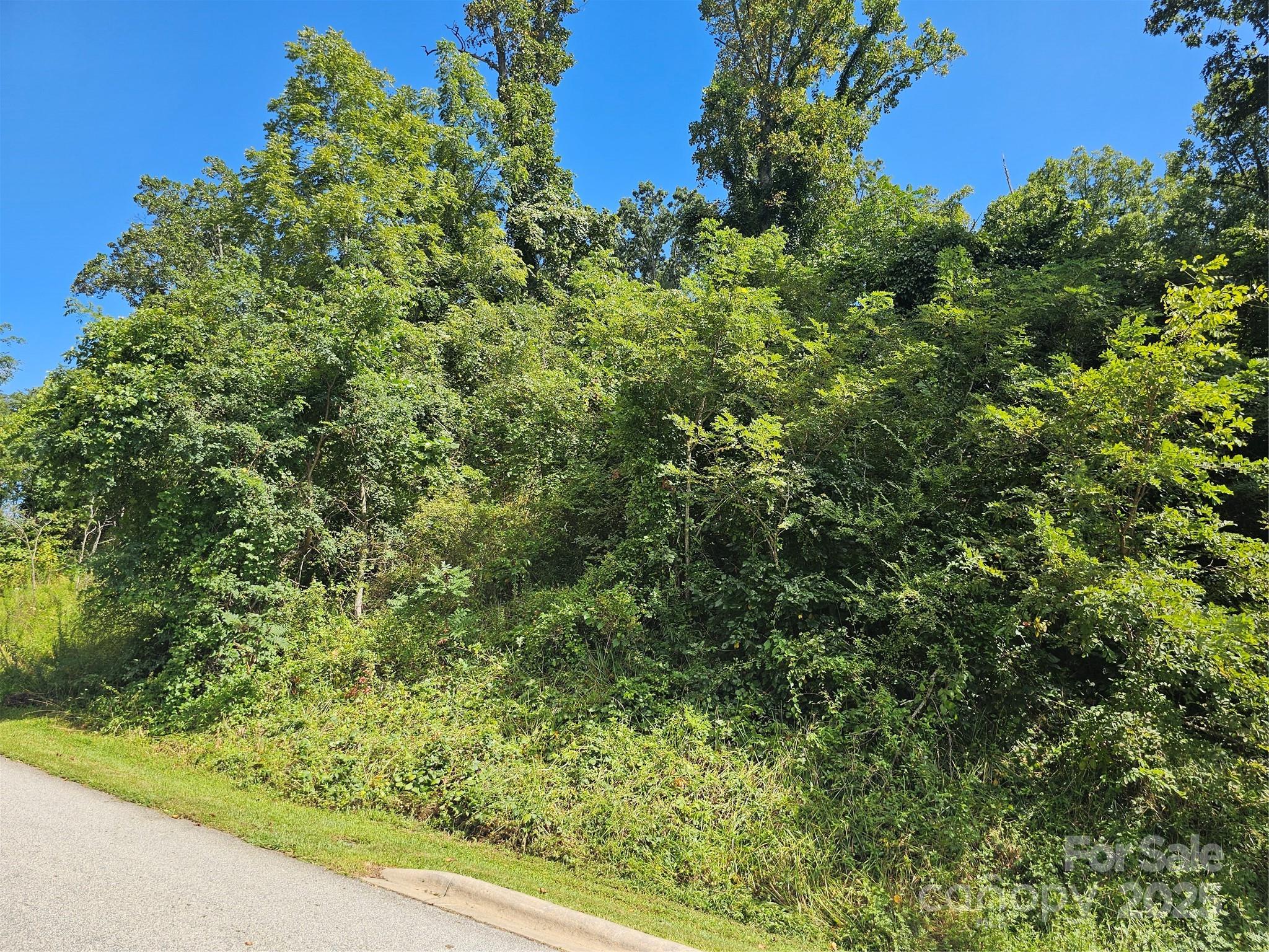 97 Destination Drive Property Photo 12