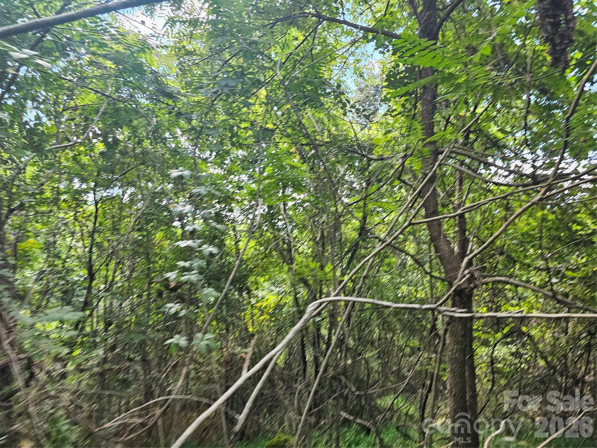 97 Destination Drive Property Photo 12