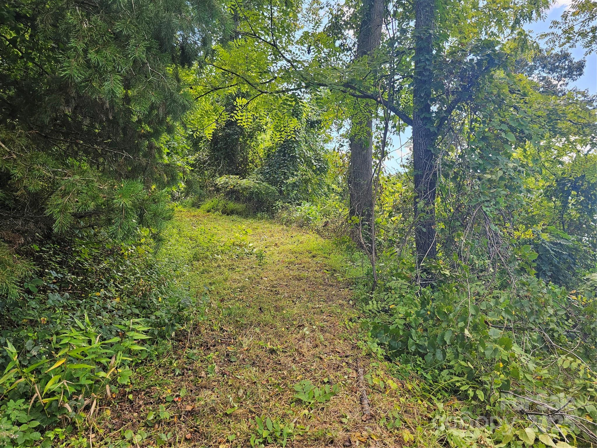97 Destination Drive Property Photo 13