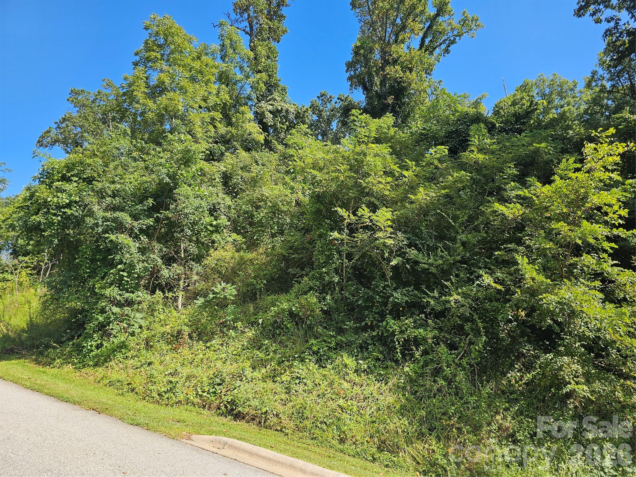 97 Destination Drive Property Photo 13