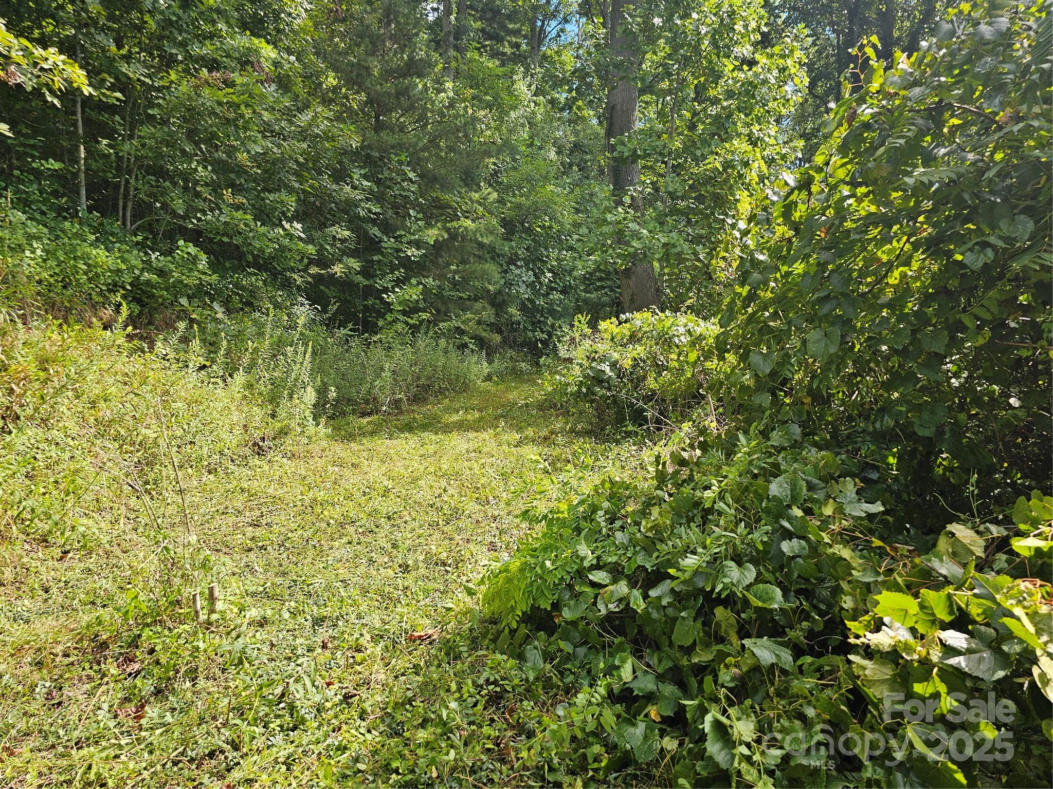 97 Destination Drive Property Photo 15