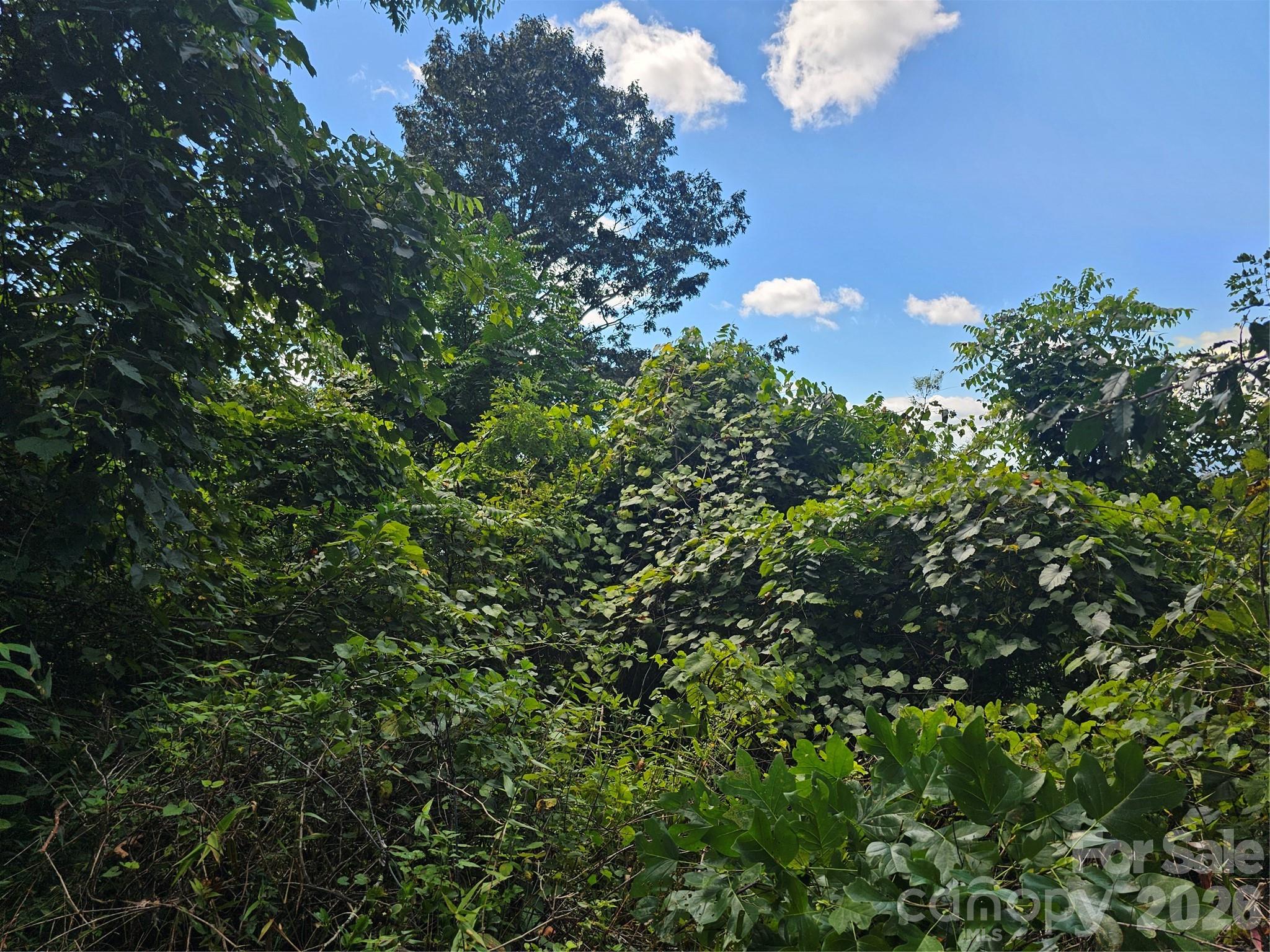 97 Destination Drive Property Photo 15