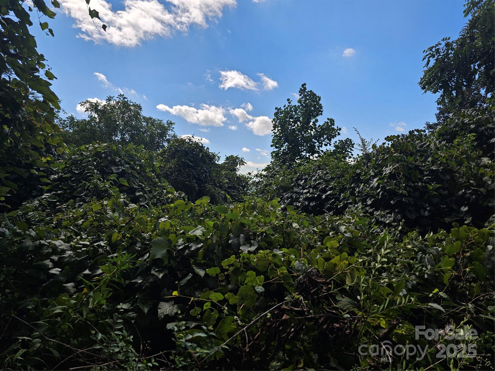97 Destination Drive Property Photo 16
