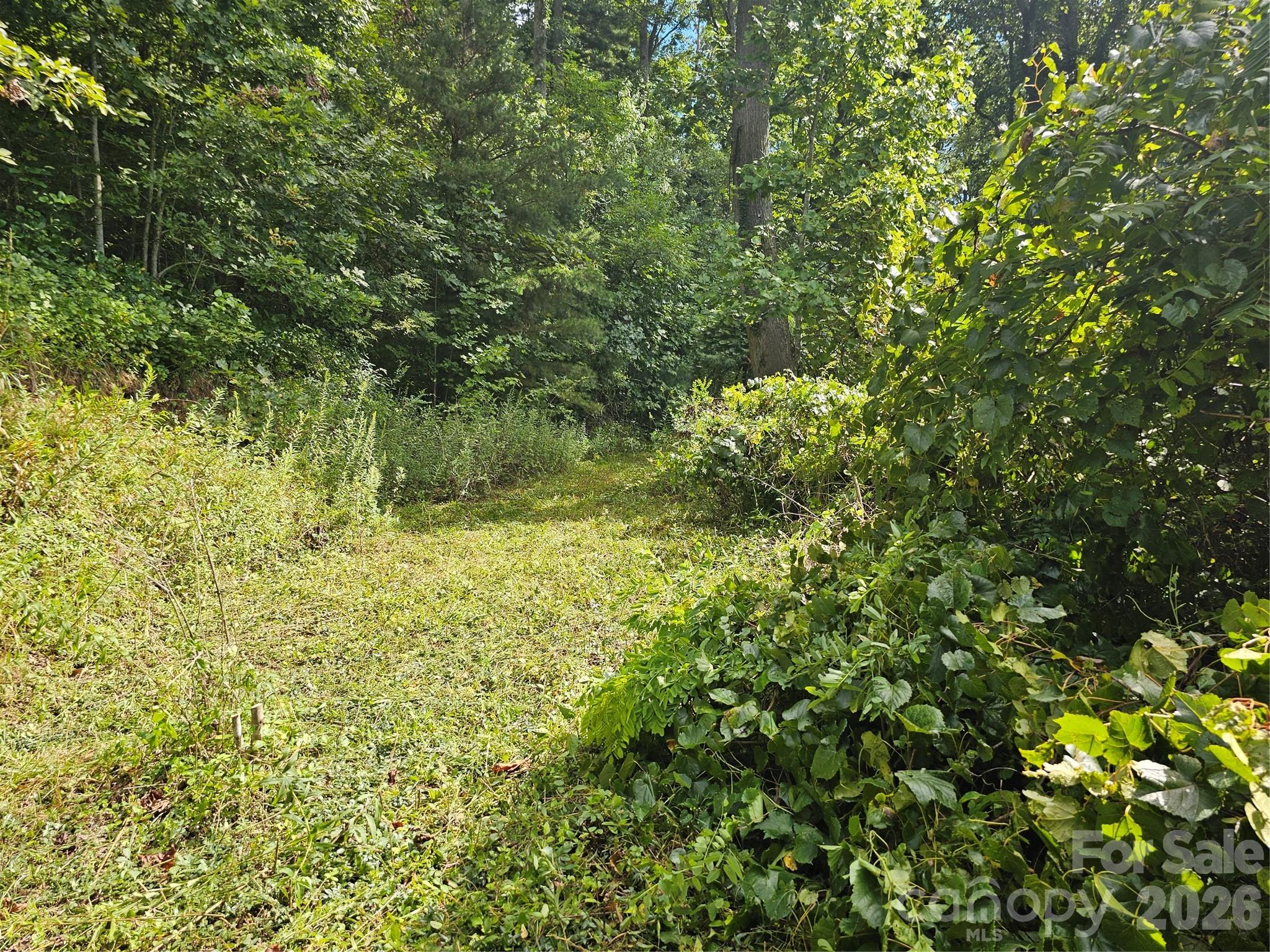 97 Destination Drive Property Photo 16