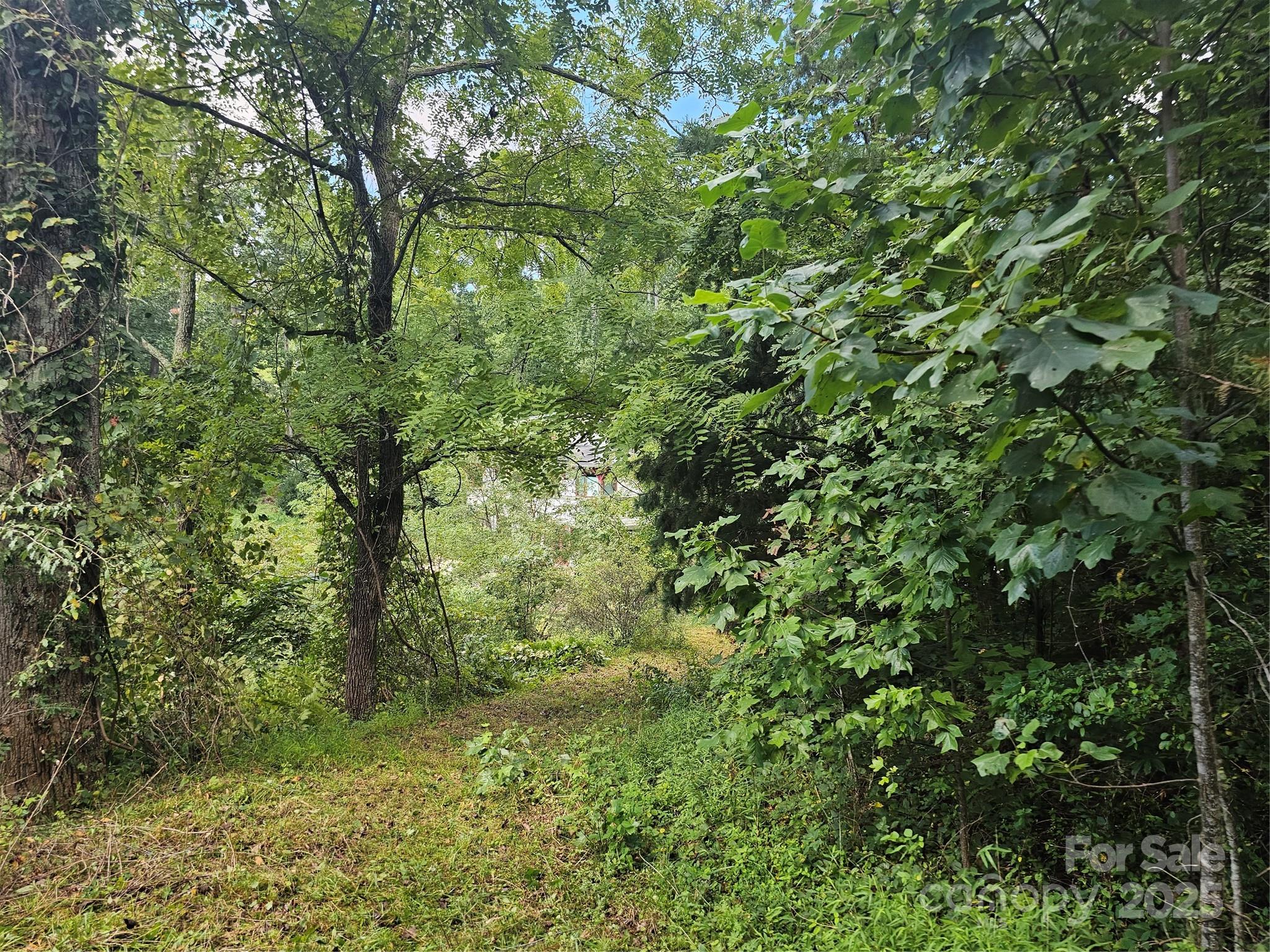 97 Destination Drive Property Photo 17