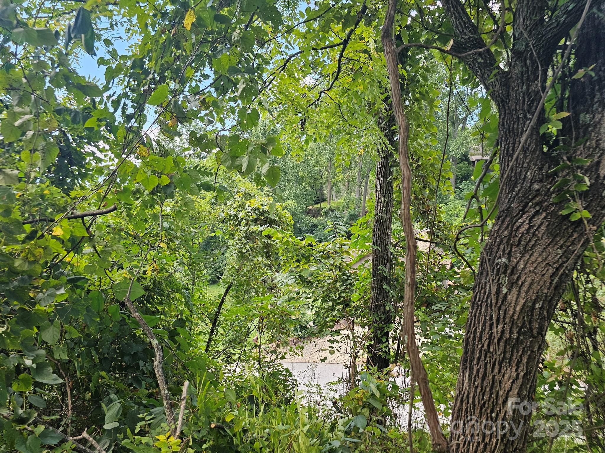 97 Destination Drive Property Photo 18