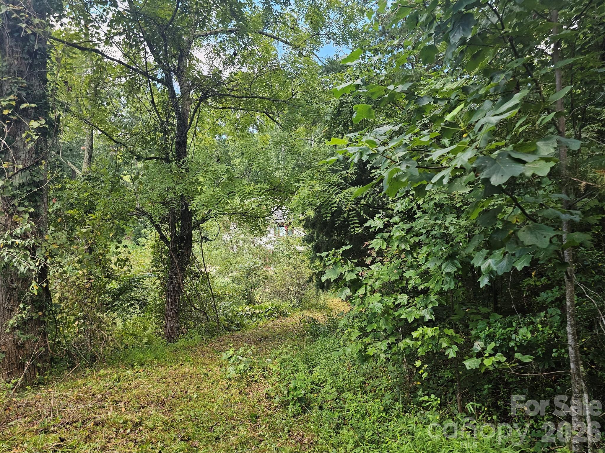 97 Destination Drive Property Photo 18