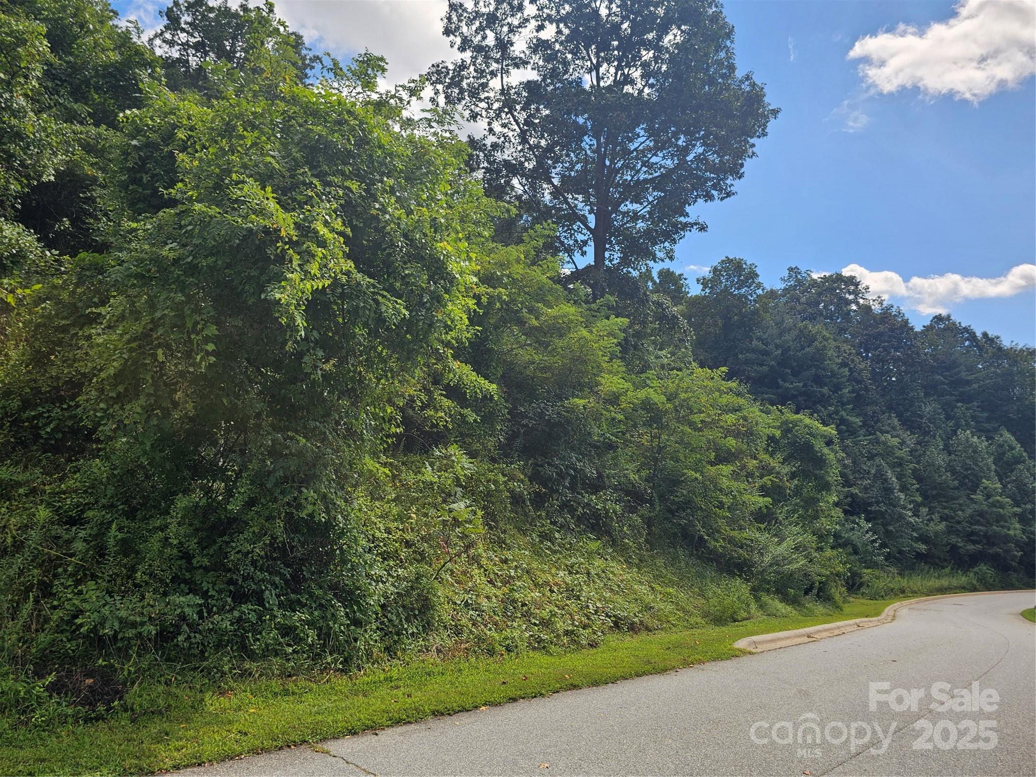 97 Destination Drive Property Photo 19