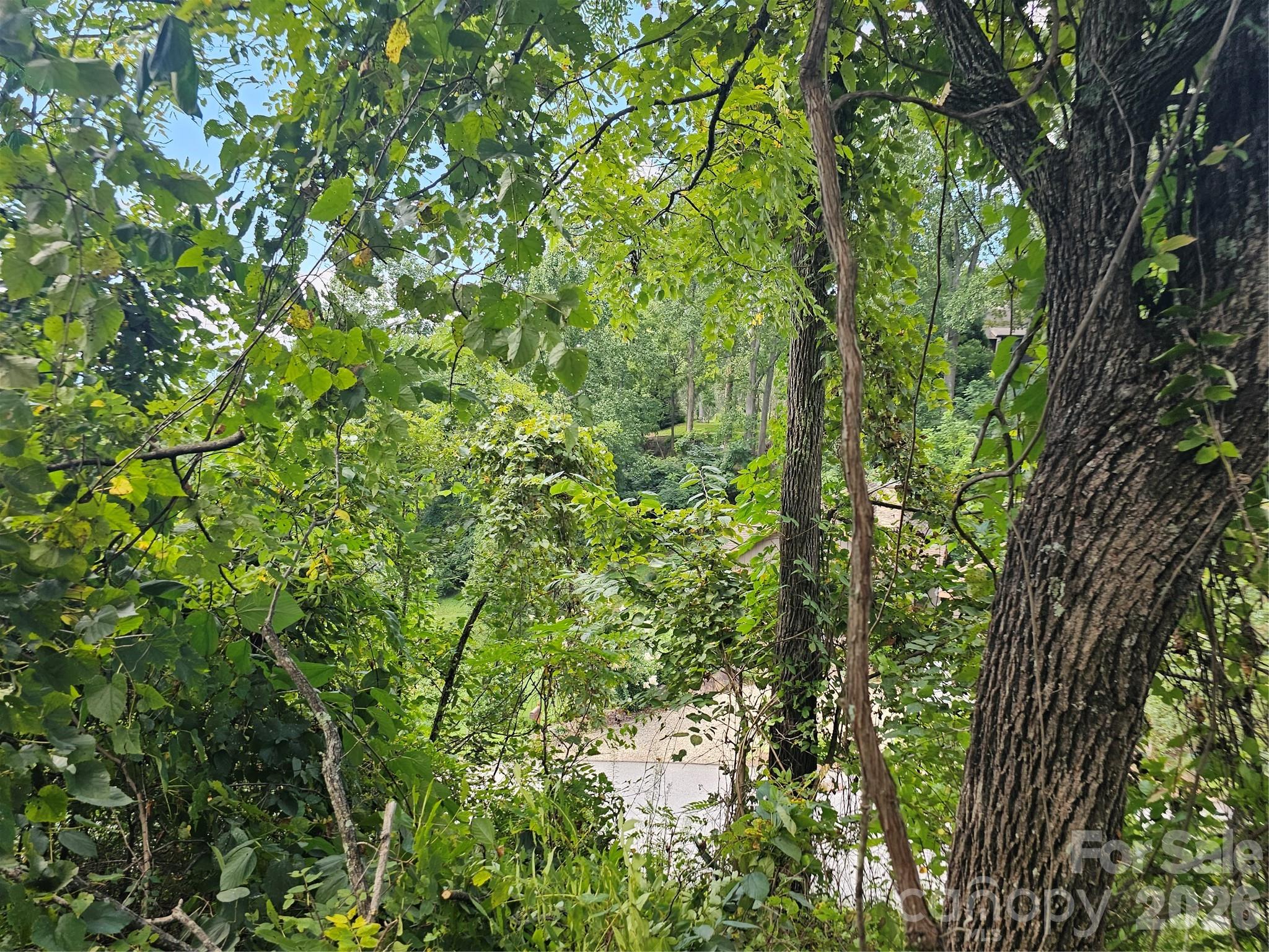 97 Destination Drive Property Photo 19