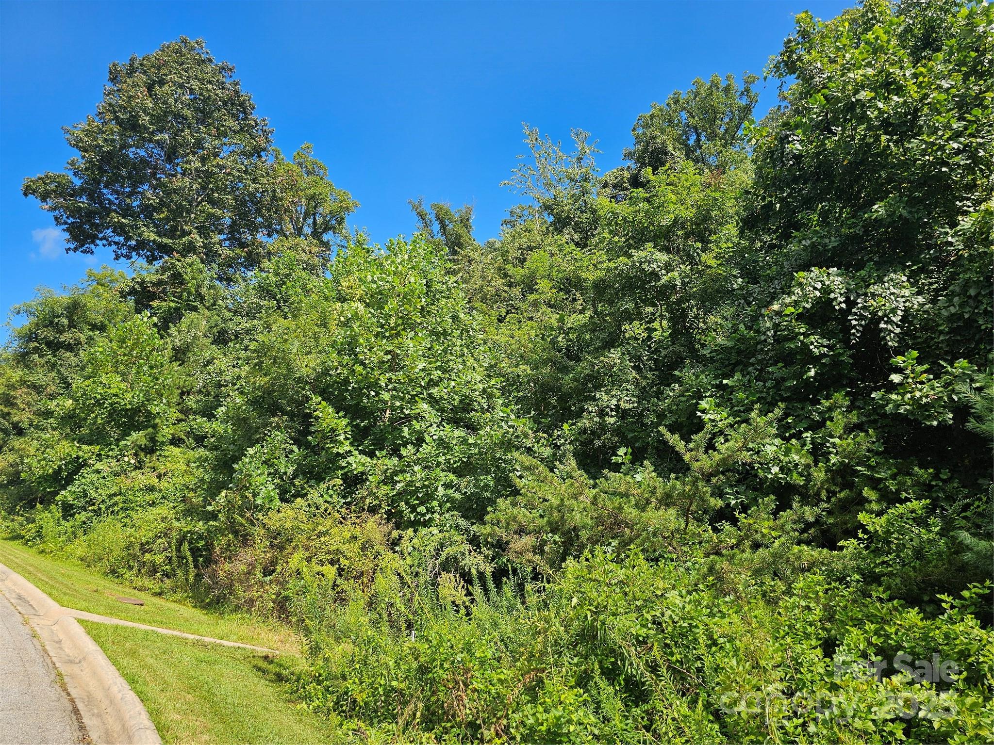 97 Destination Drive Property Photo 23