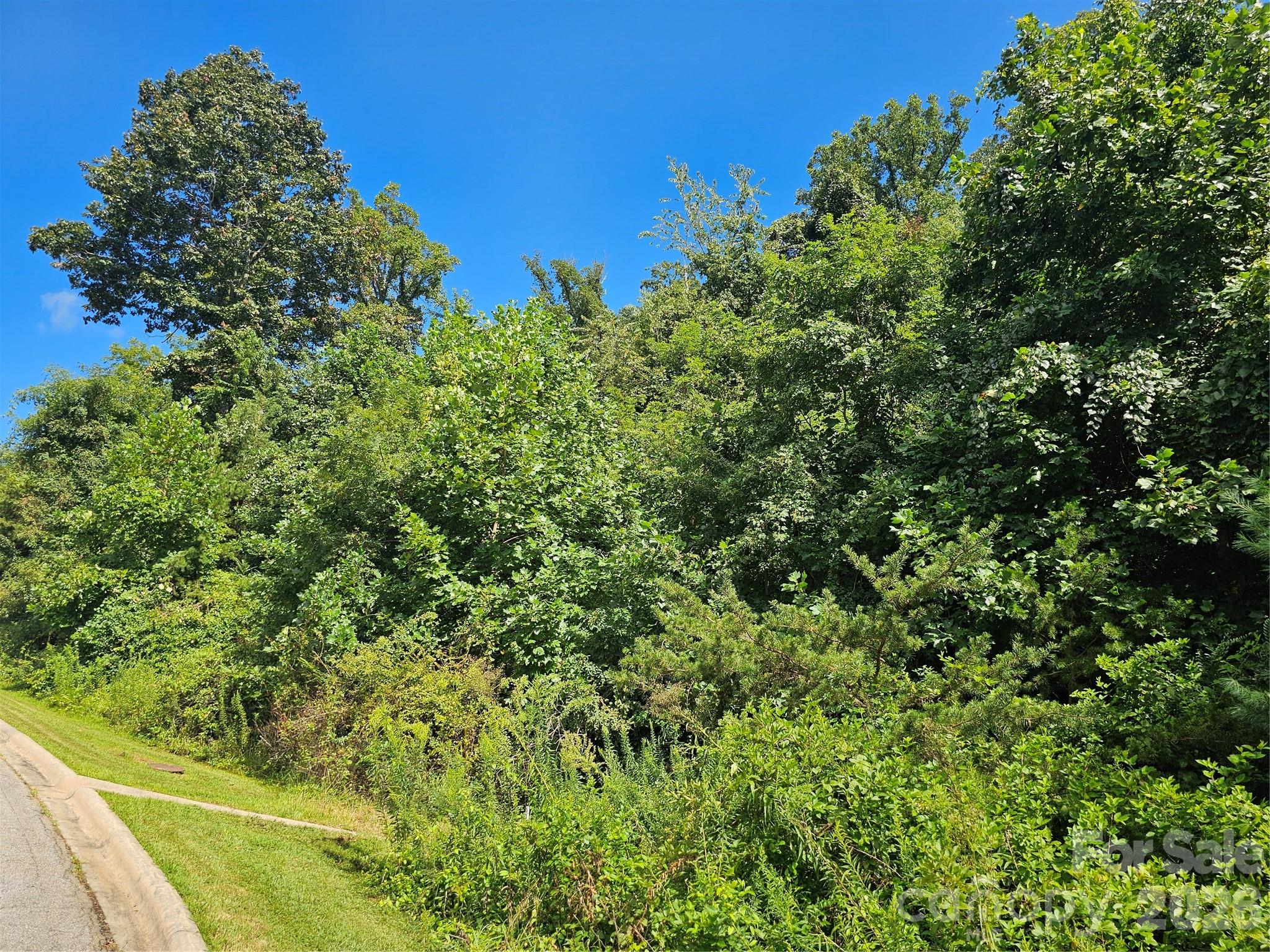 97 Destination Drive Property Photo 24