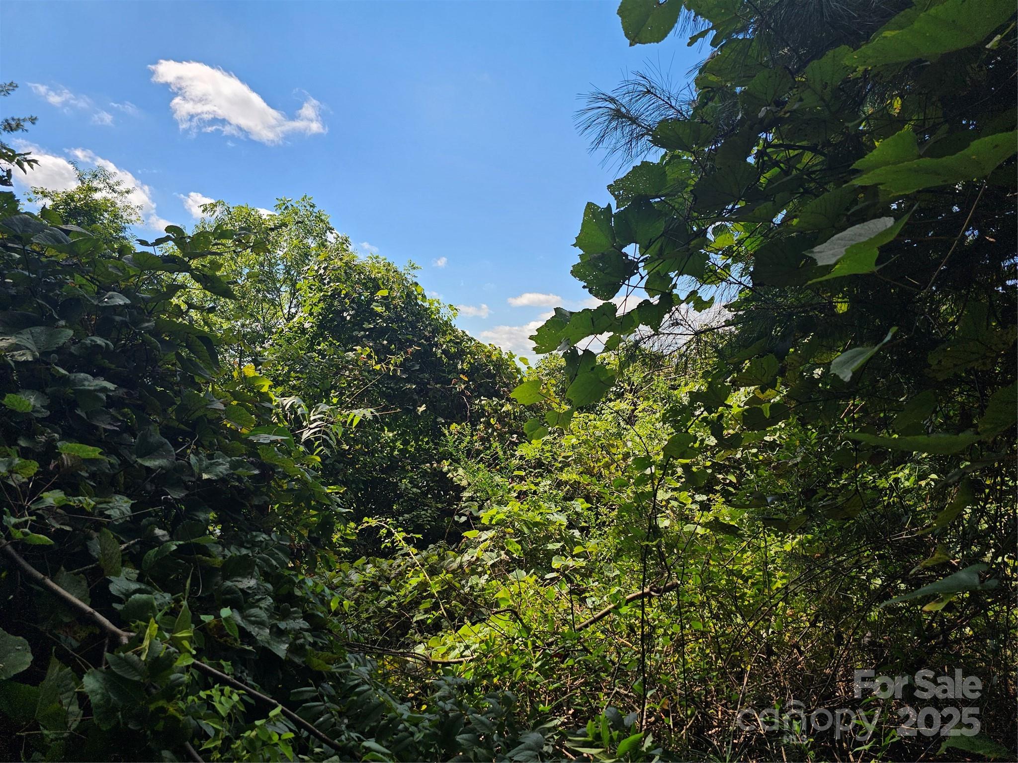 97 Destination Drive Property Photo 27