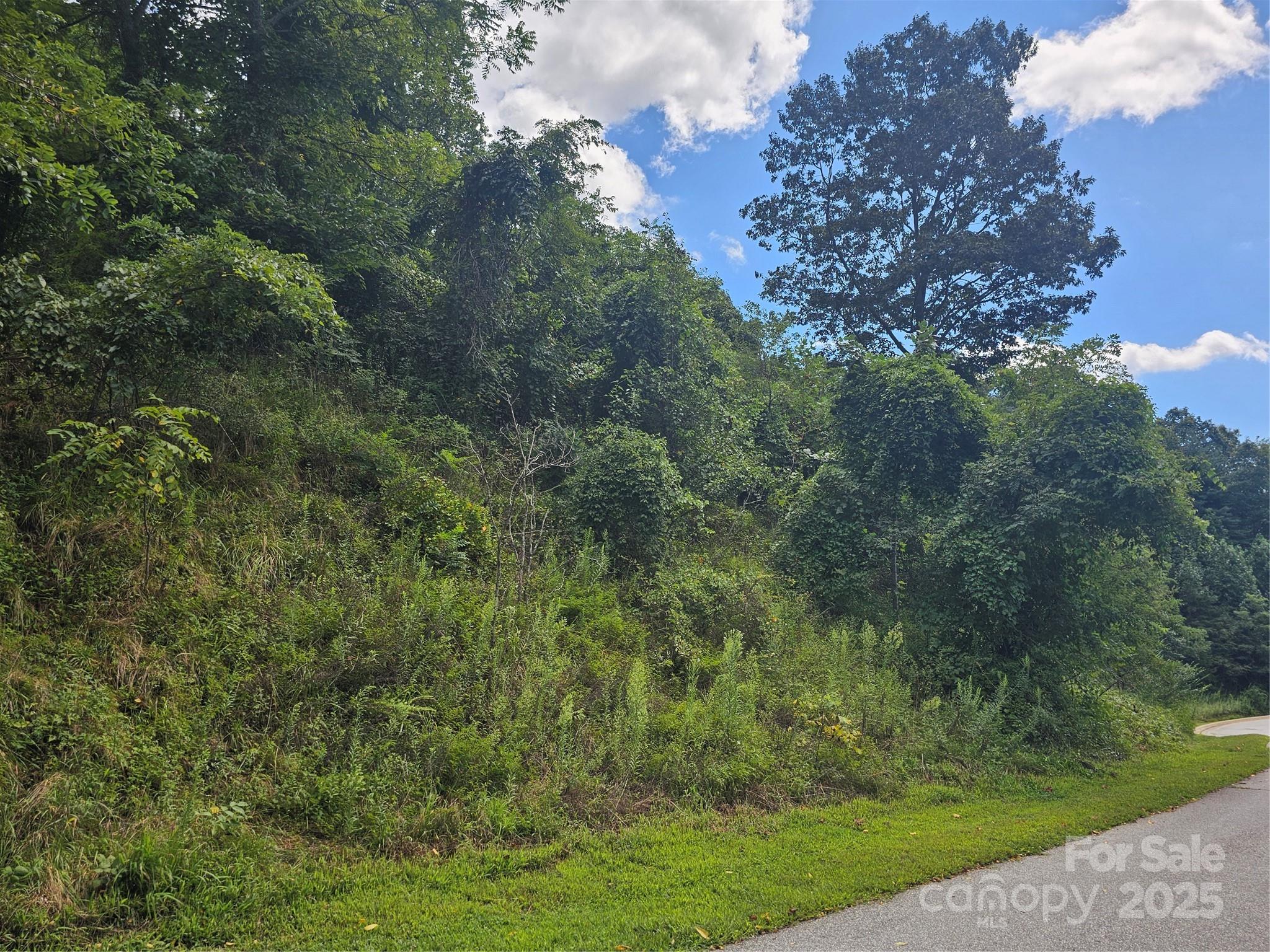 97 Destination Drive Property Photo 29