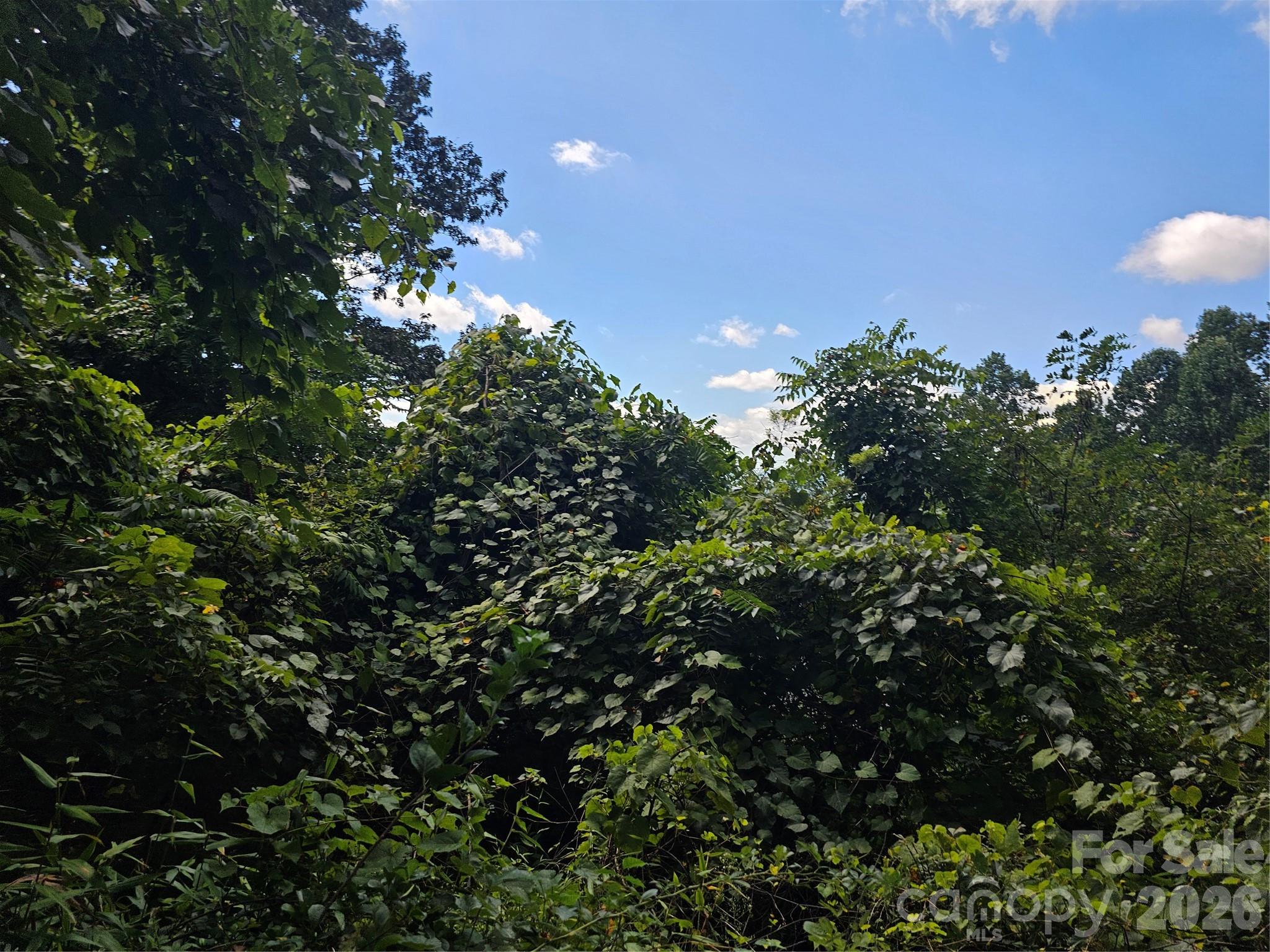 97 Destination Drive Property Photo 29