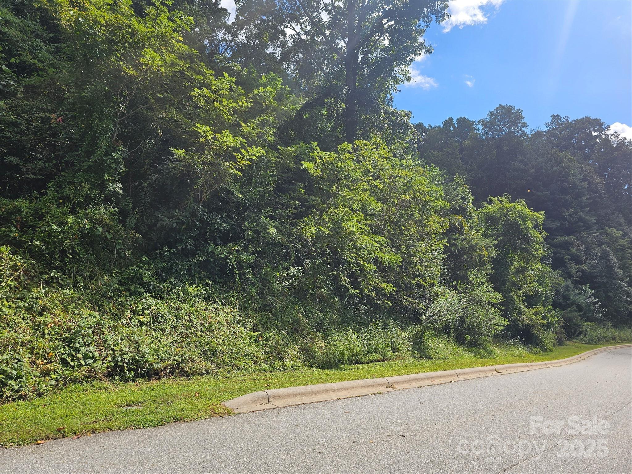 97 Destination Drive Property Photo 30