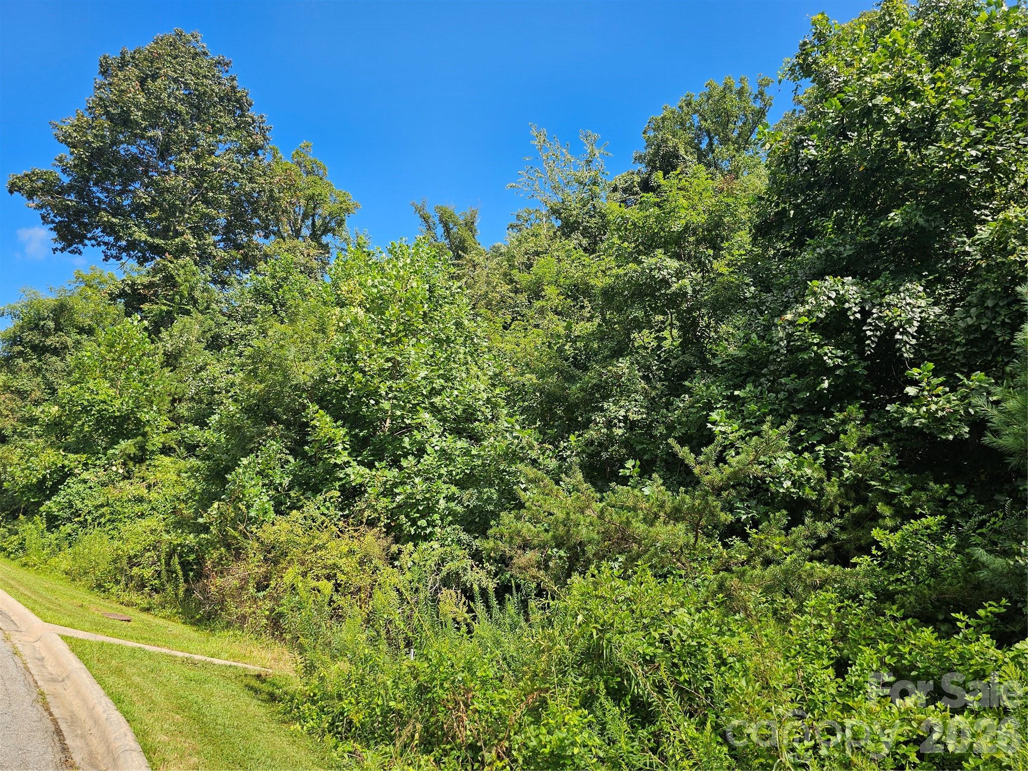 97 Destination Drive Property Photo 30