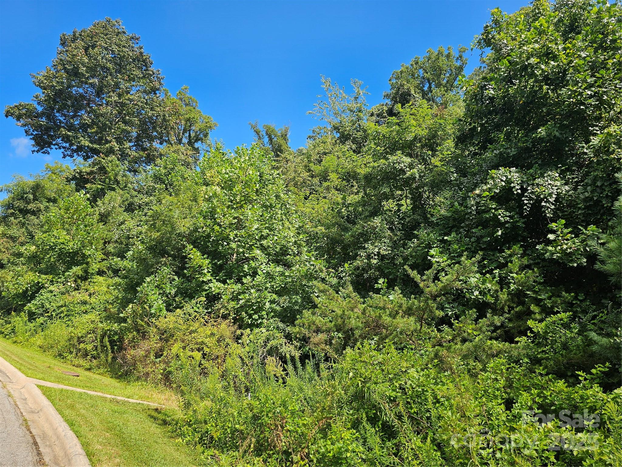 97 Destination Drive Property Photo 31