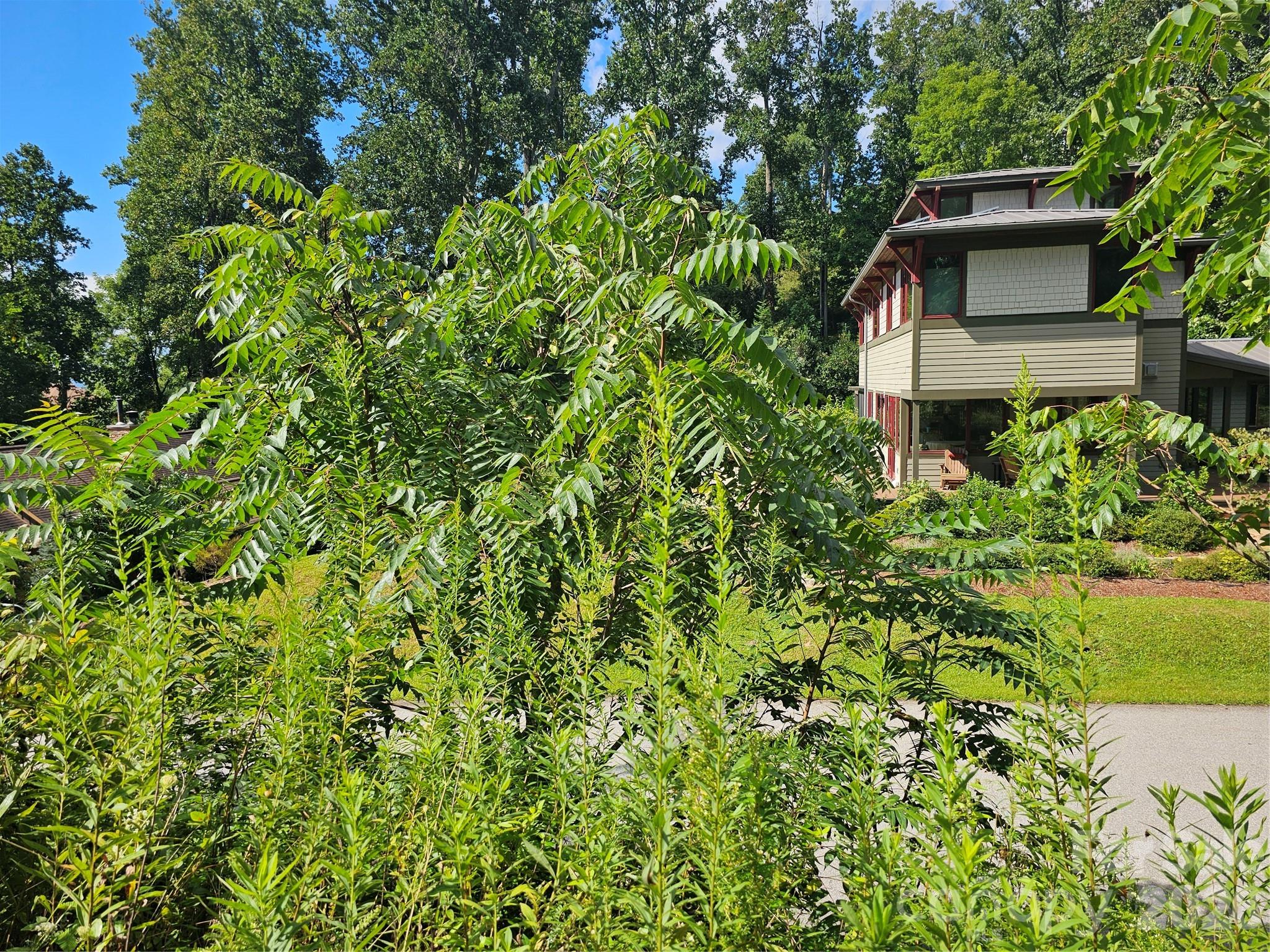 97 Destination Drive Property Photo 32