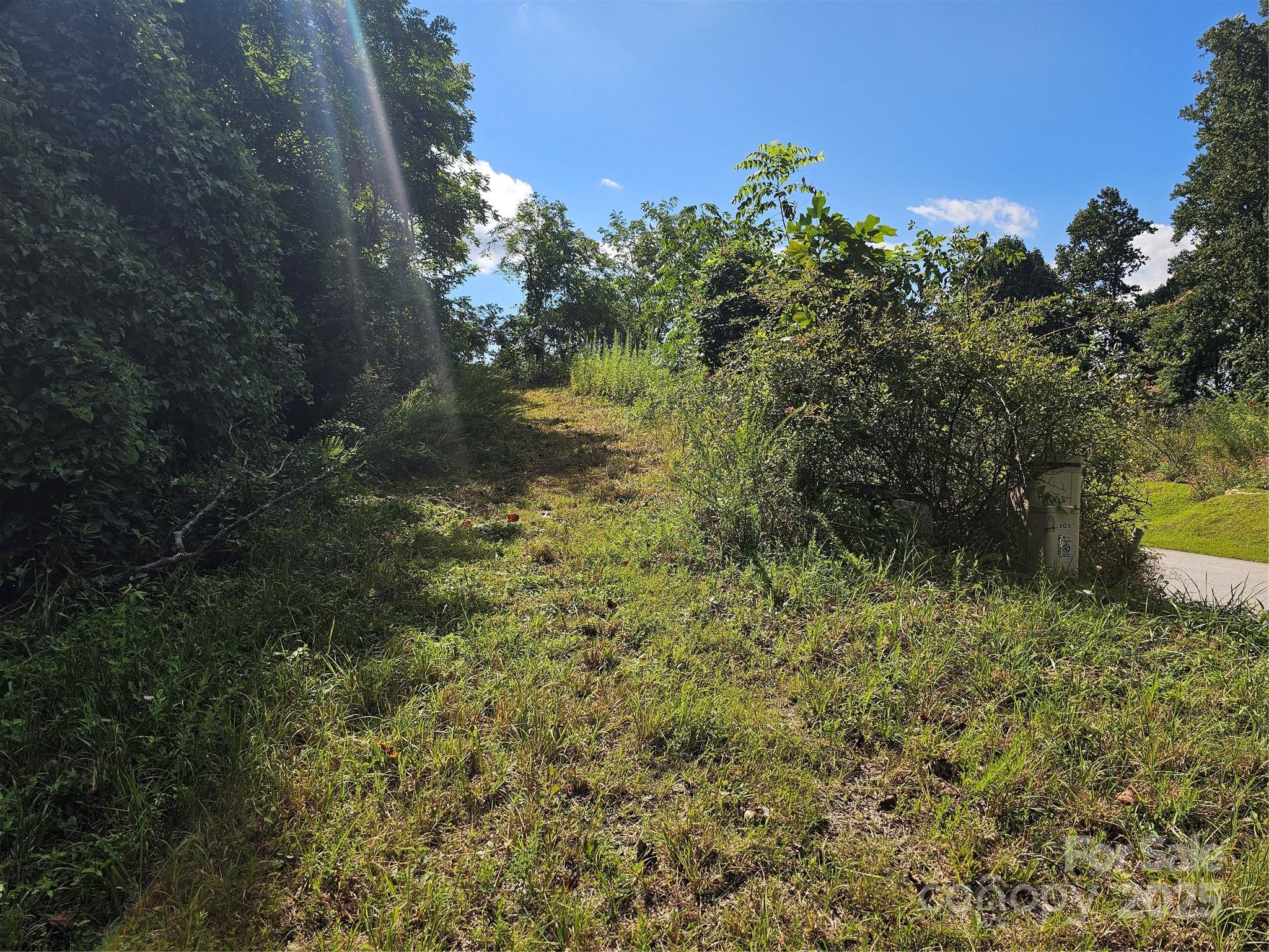 97 Destination Drive Property Photo 33