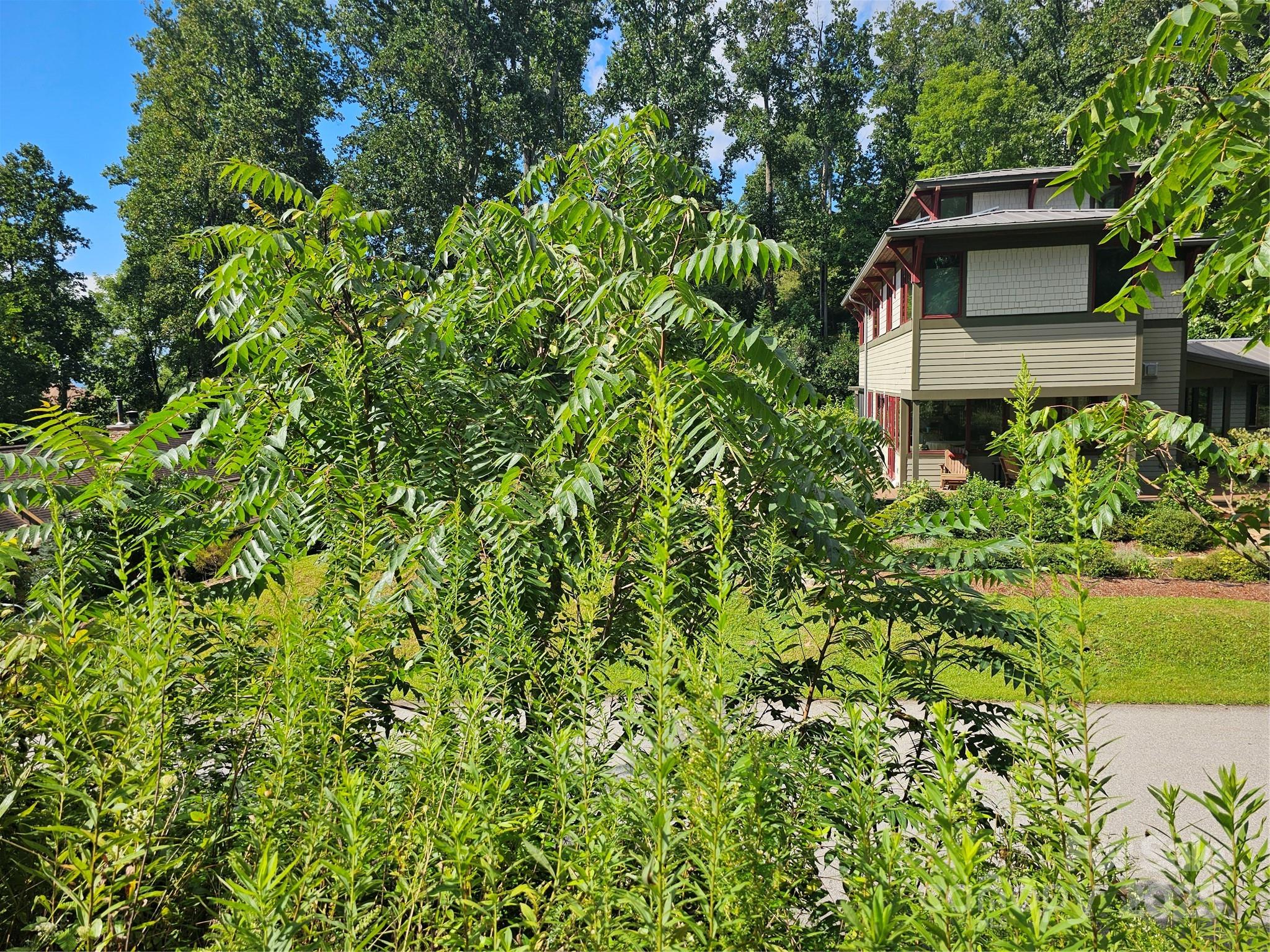 97 Destination Drive Property Photo 34