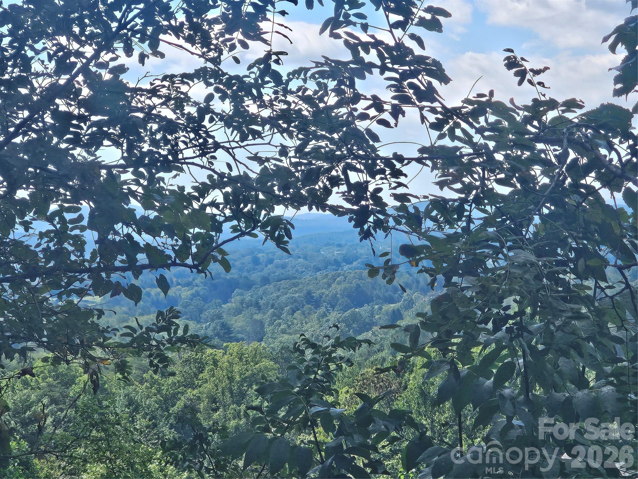 97 Destination Drive Property Photo 34