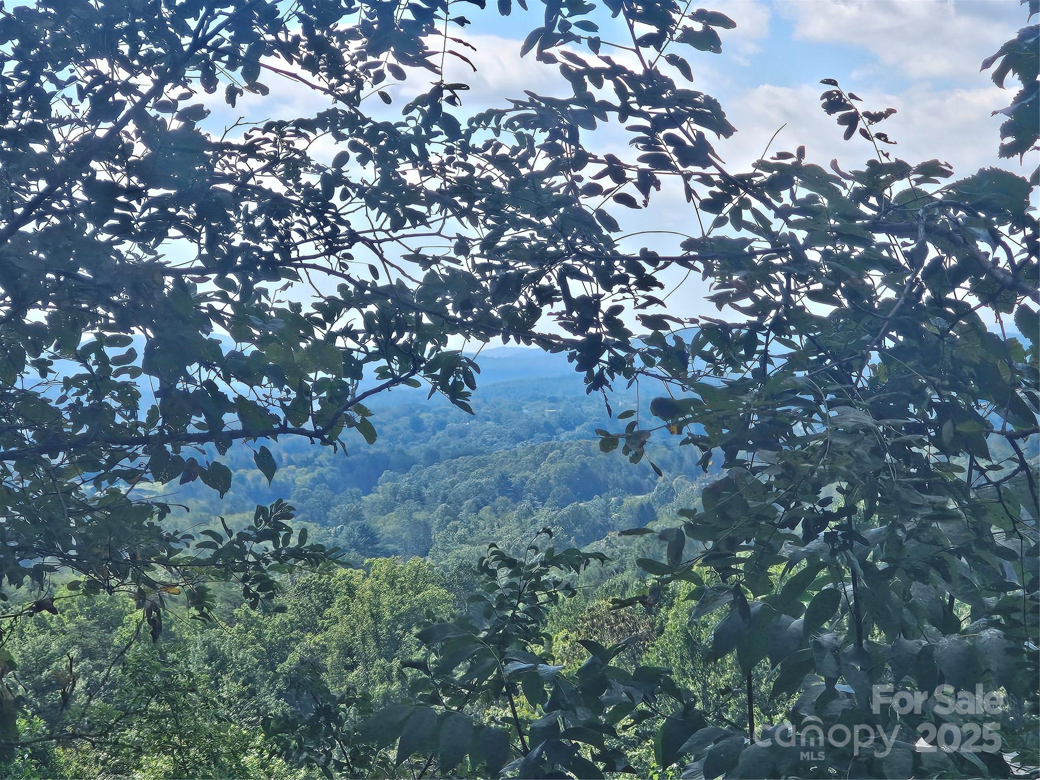 97 Destination Drive Property Photo 36
