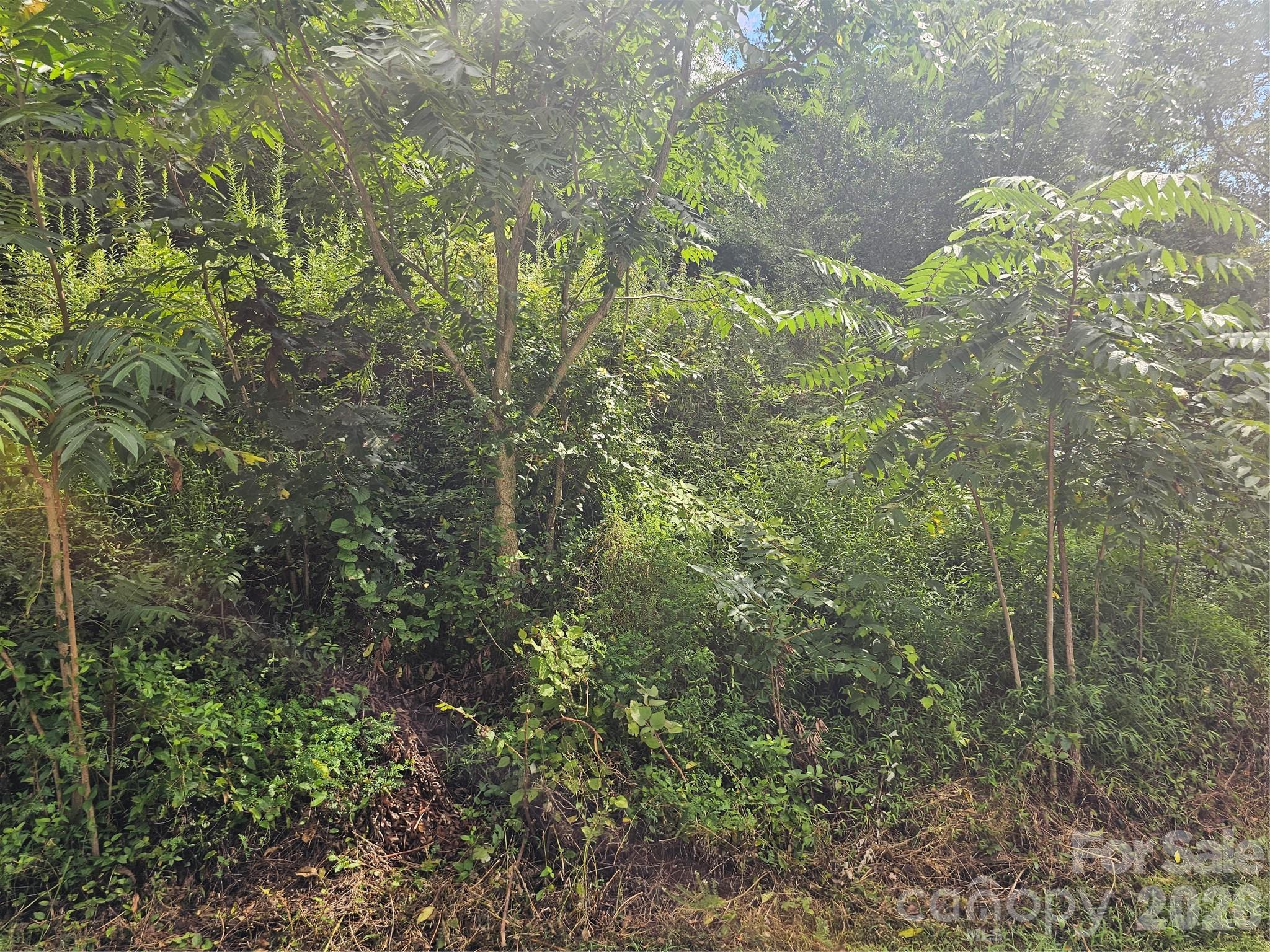 97 Destination Drive Property Photo 36