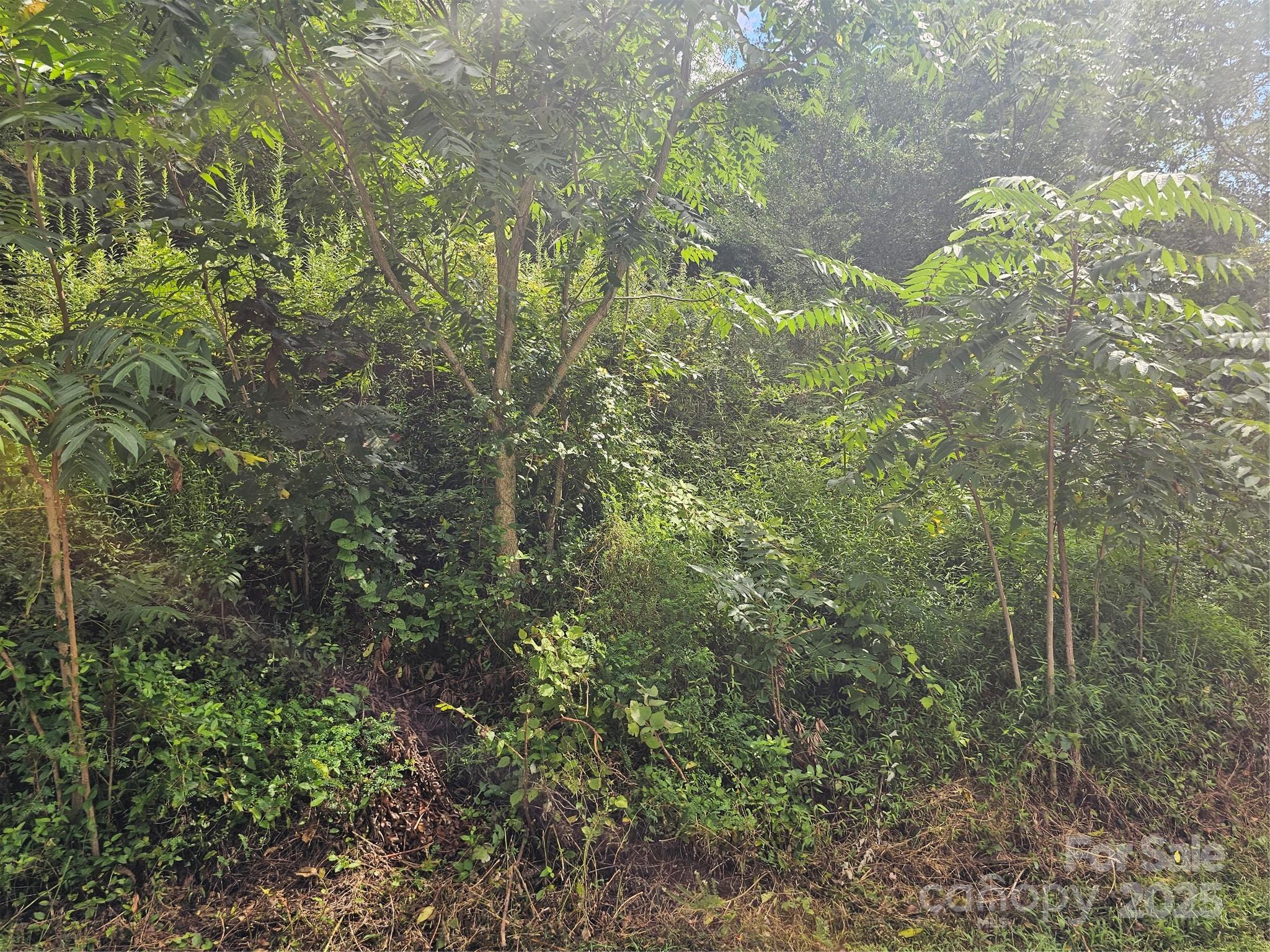 97 Destination Drive Property Photo 38